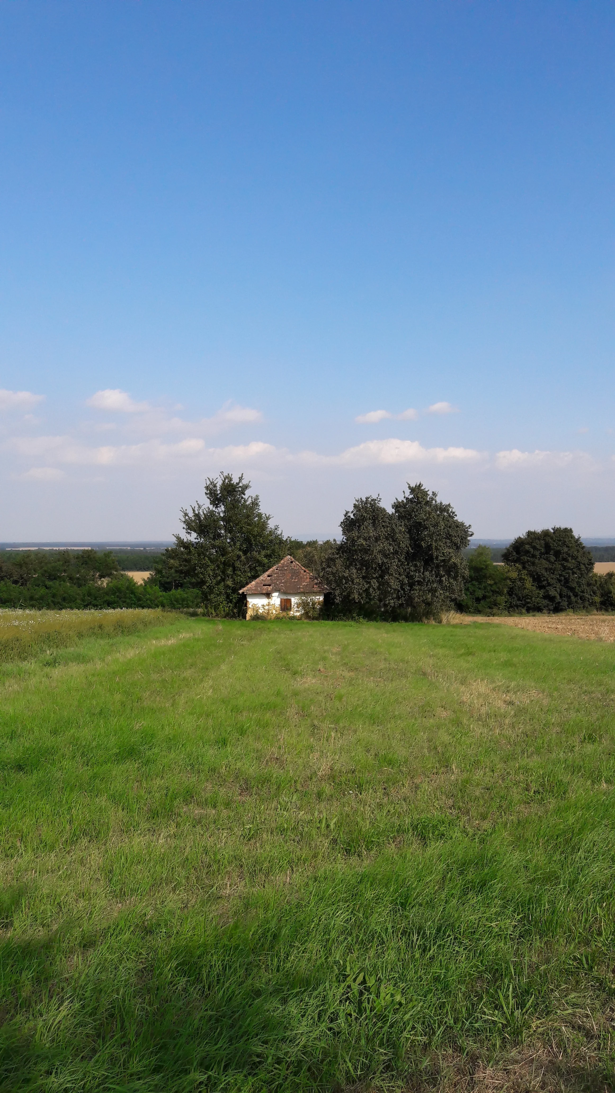 Sommer