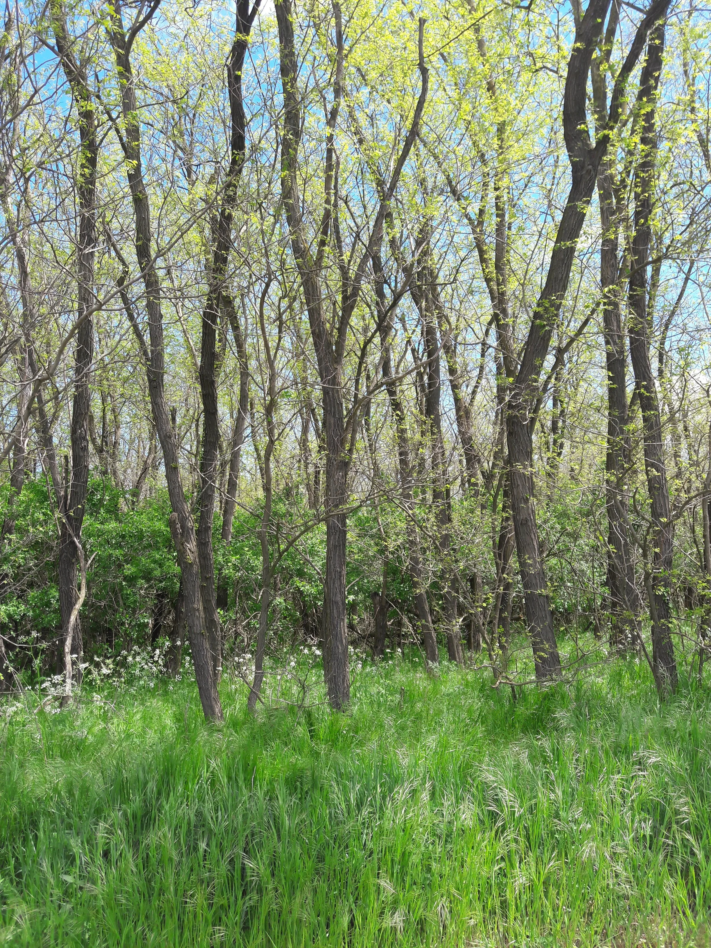 20200502_121936.jpg