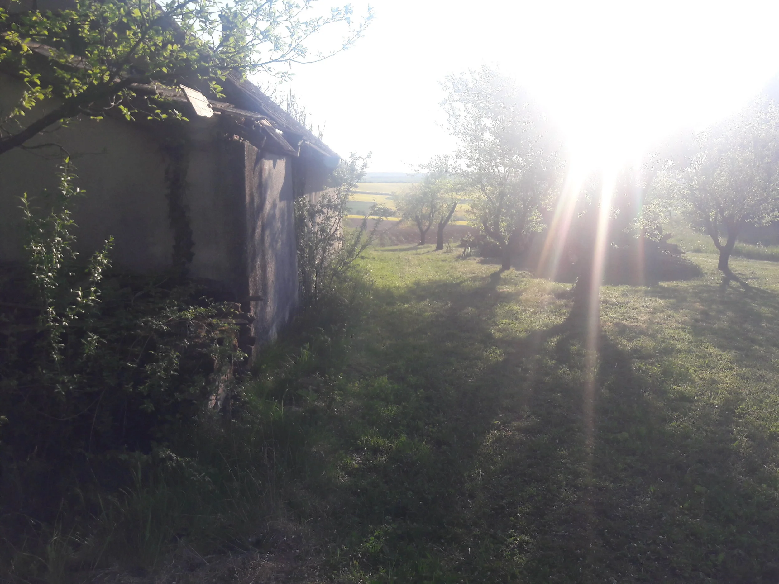 20200422_181013.jpg