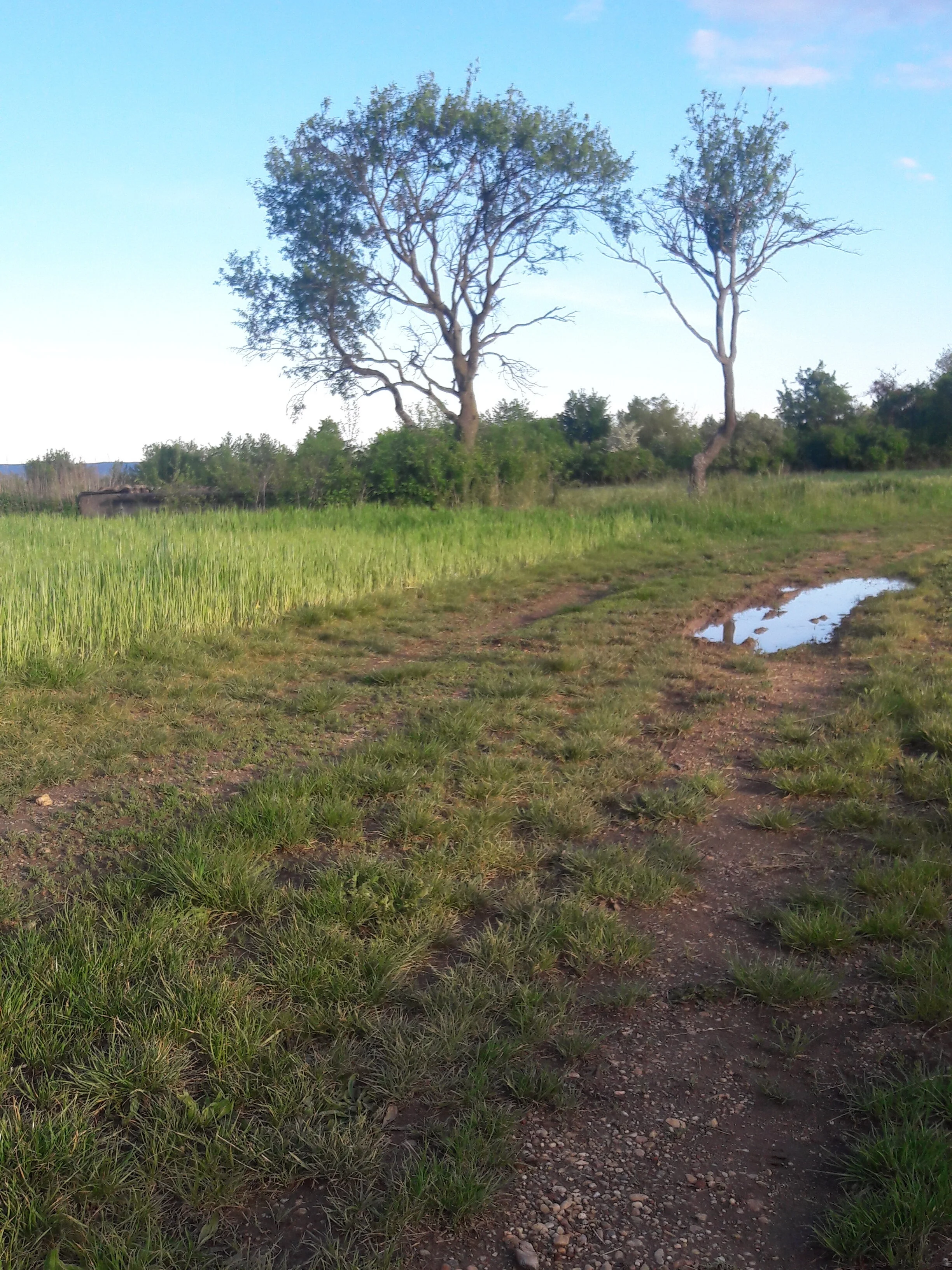 20200501_183916.jpg