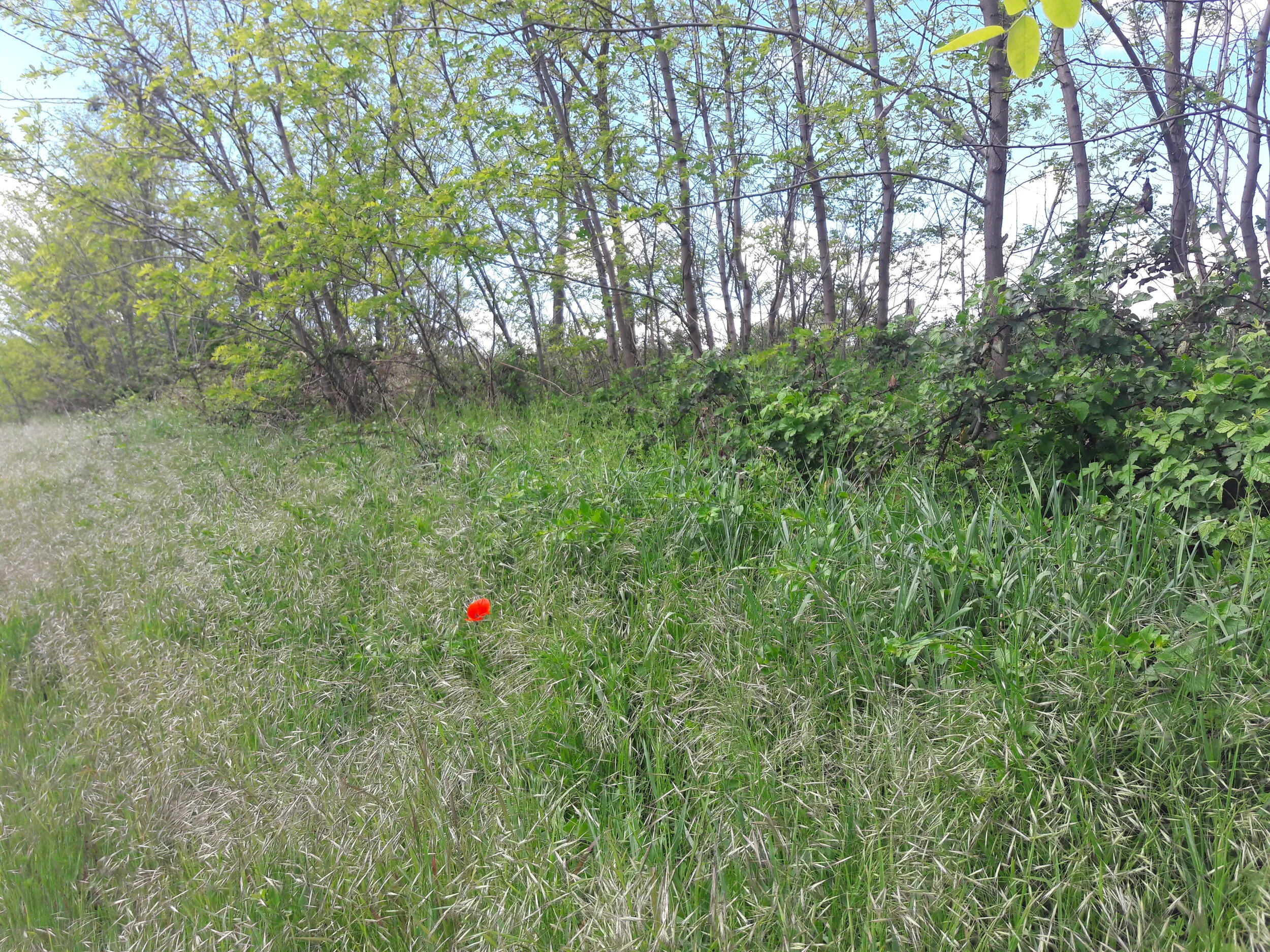 20200502_130129.jpg