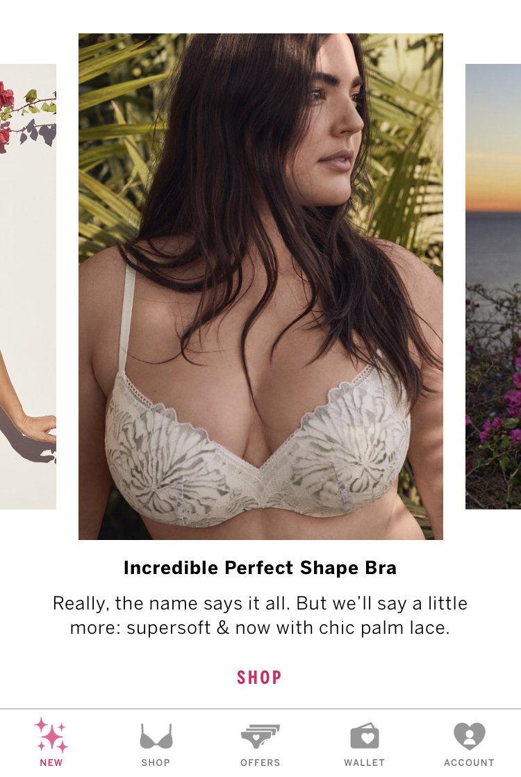 IMG_5427_Spring_New_3.PNG