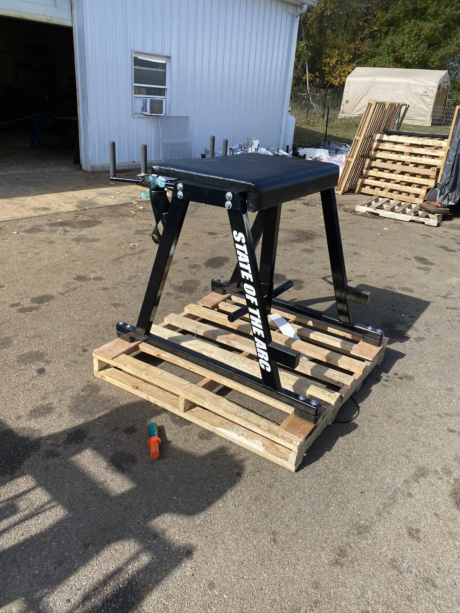 REVERSE HYPER W/ BELT