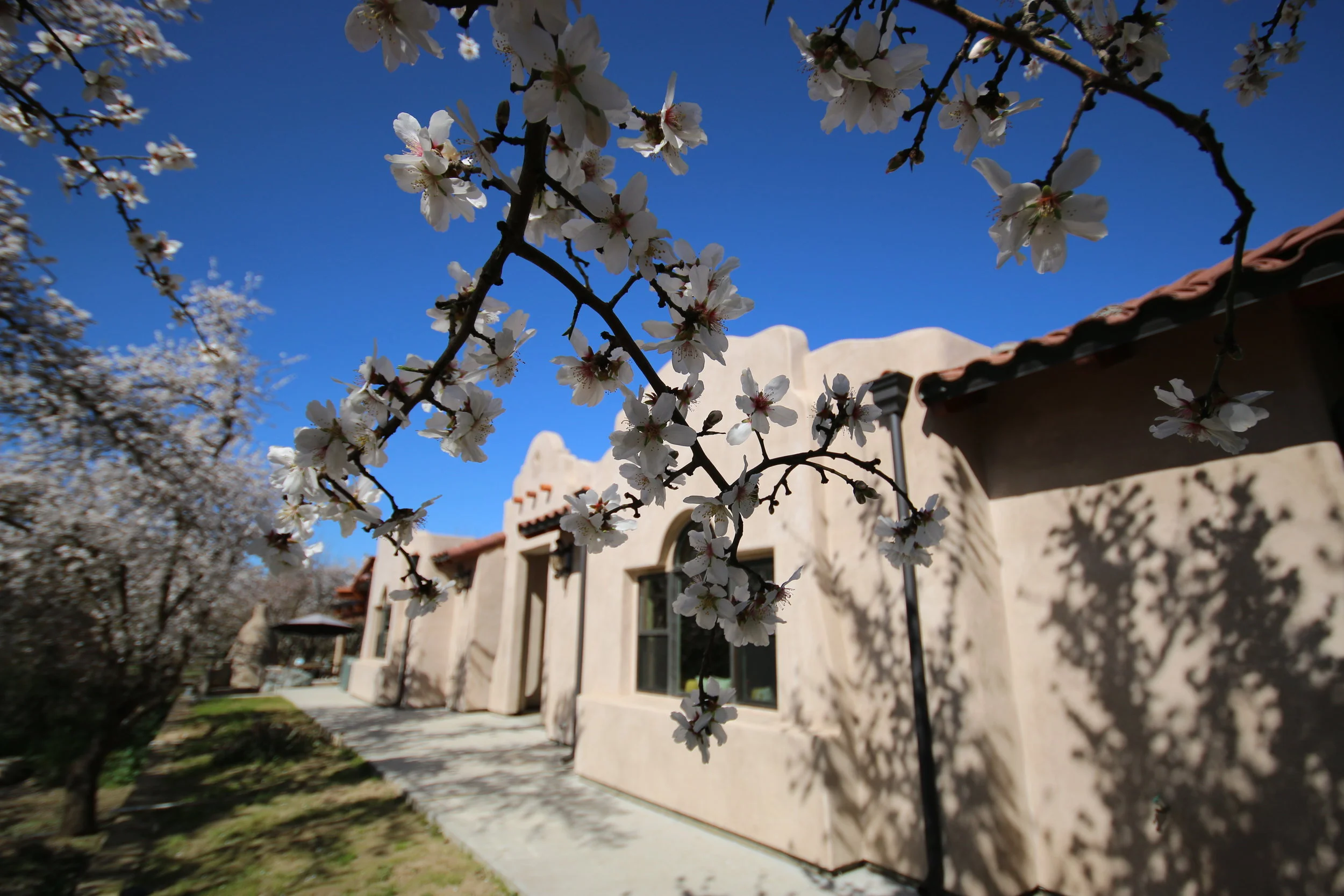 2830 InteriorIMG_7936.JPG