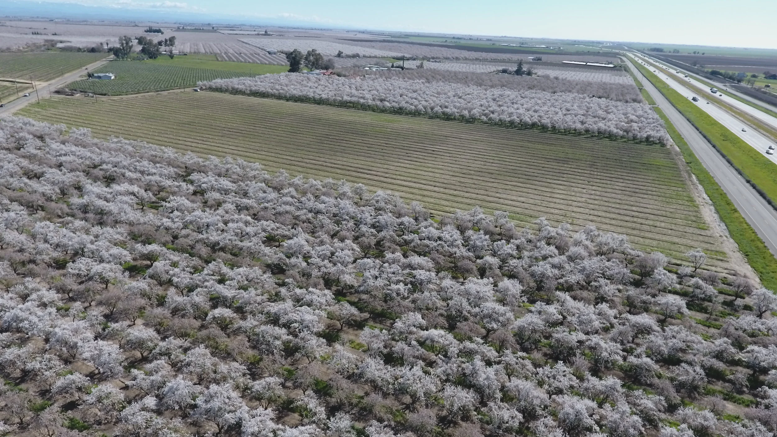 AirealDJI_0164.JPG