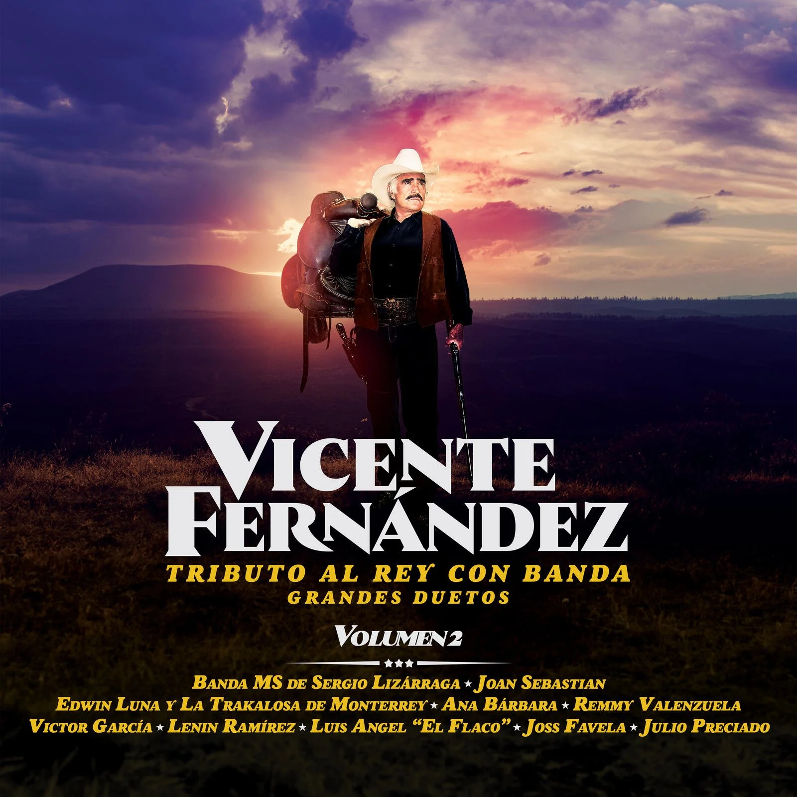 Vicente-Album Artwork.jpg