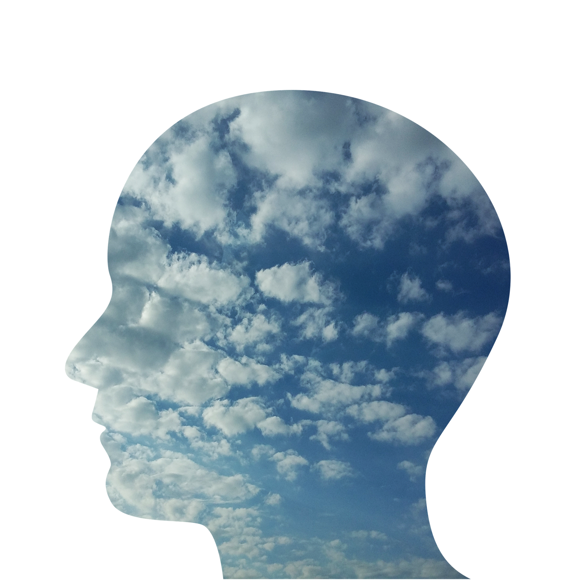 head-2379686_1920.png