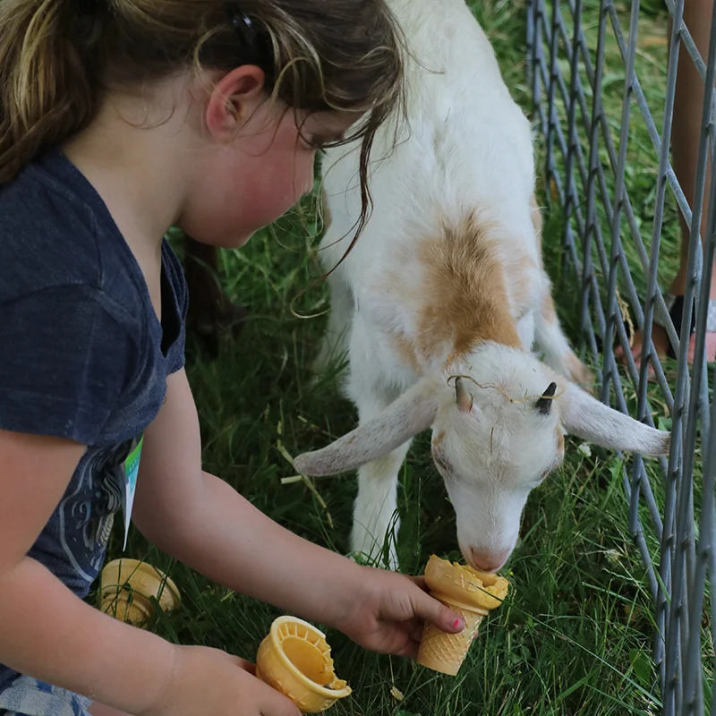 Petting Zoo (57).JPG