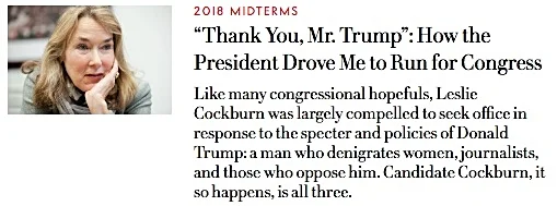 Find out more about Leslie Cockburn in this in-depth first-person article in Vanity Fair. Also visit her campaign's website.