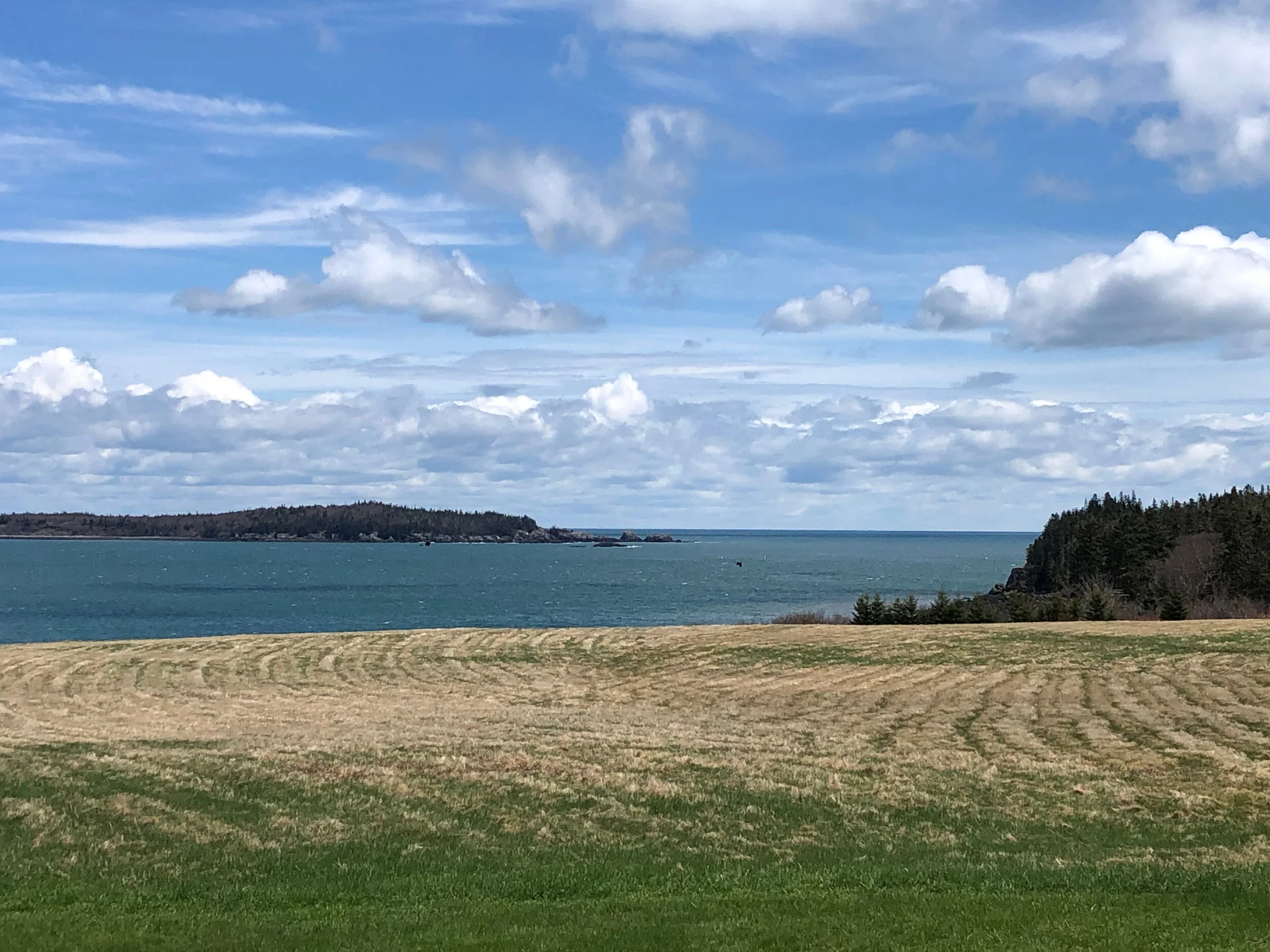 The view to the east, looking out on the Bay of Fundy