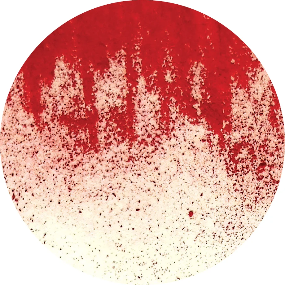 UNEARTHINGS Wendy Chen