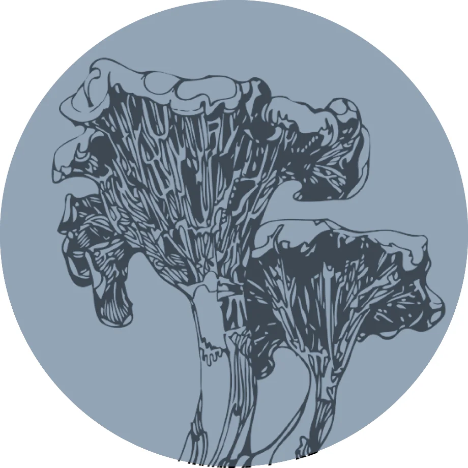 PRISON: NINE HAIKU FROM HALLBY YOUTH PRISON Tomas Tranströmer