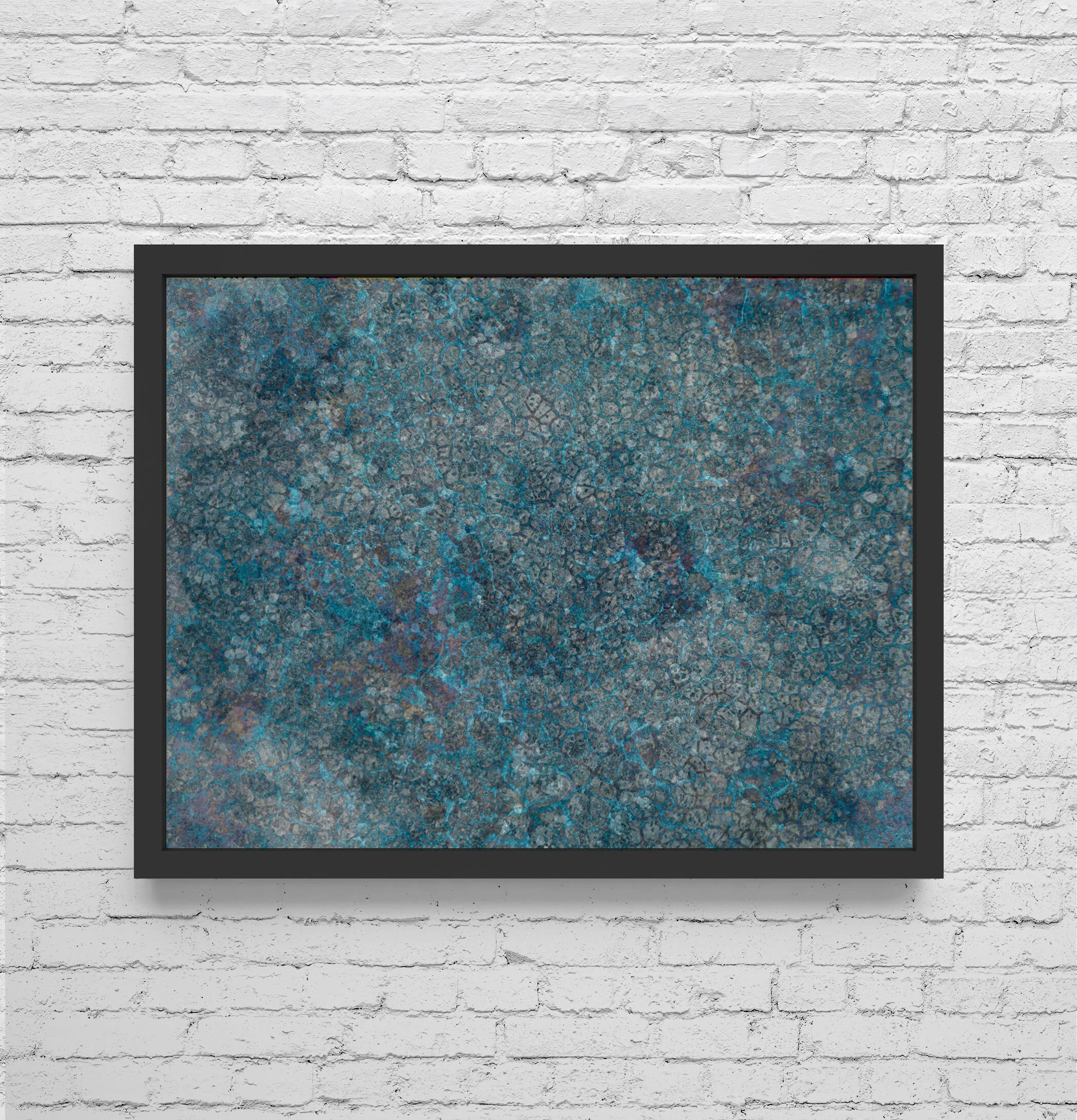 Organism-Ancient-FRAME.jpg