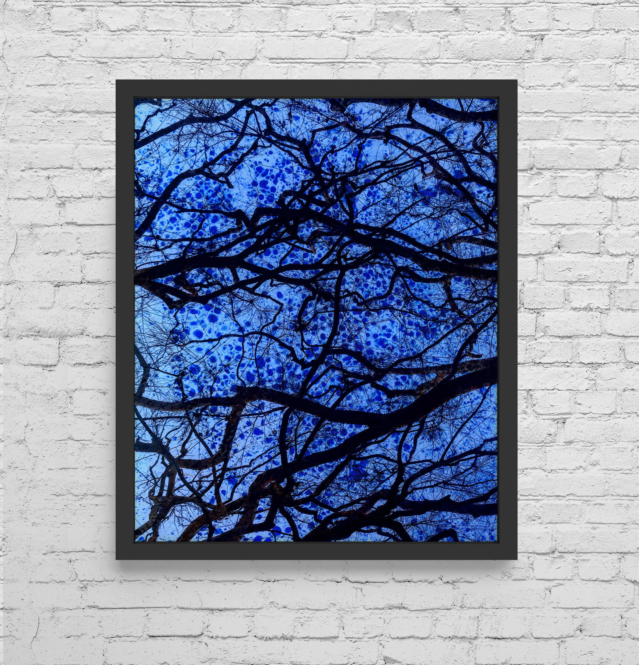 Enlight-8205-FRAME.jpg