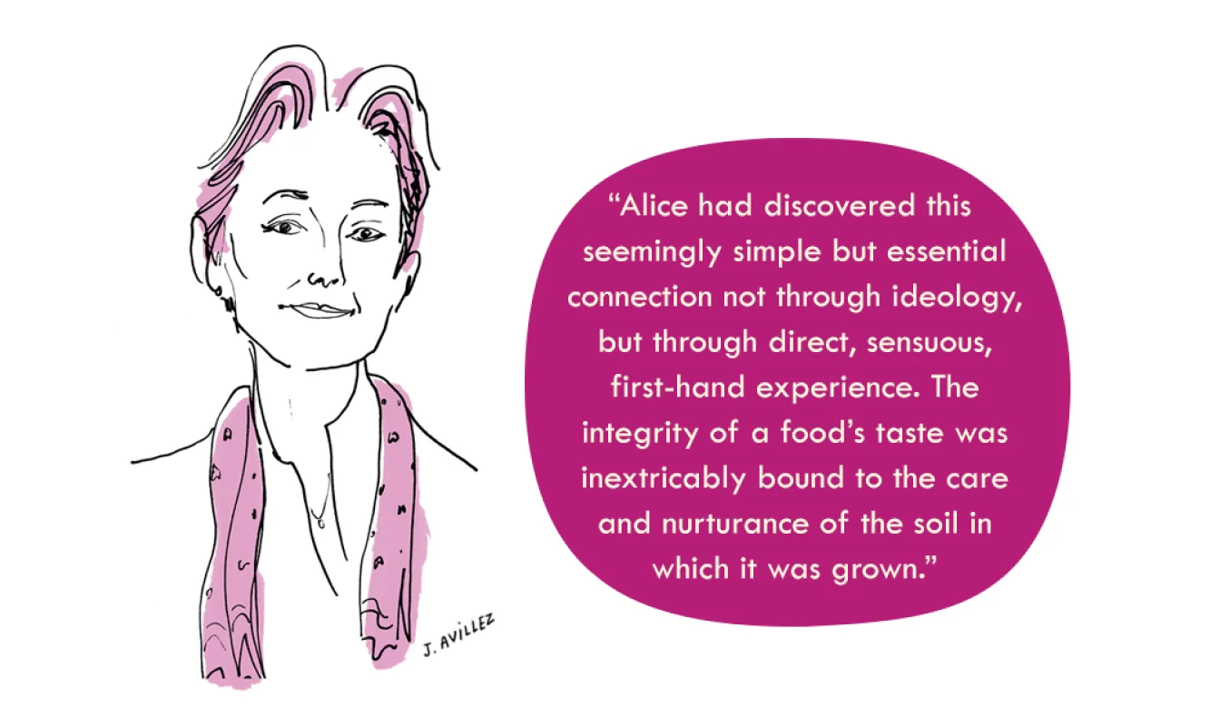 blurbs and illos.jpg