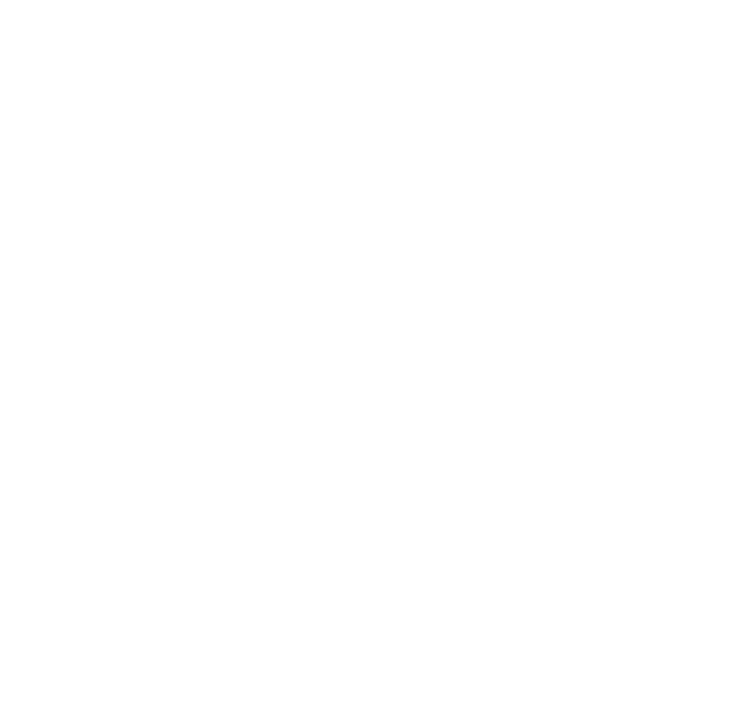 Nine Brothers Logo white.png