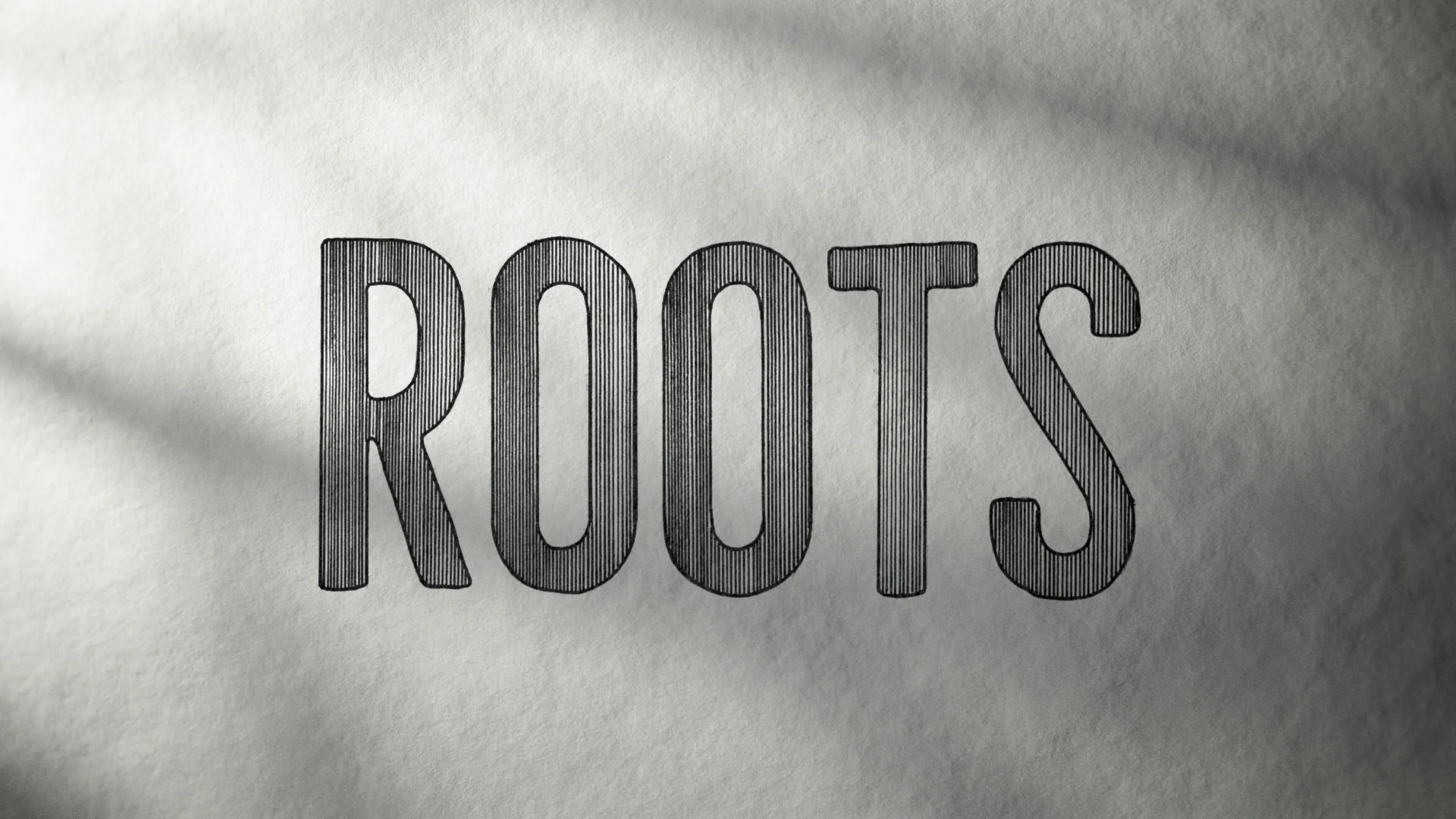 "Roots" logo development – Line Illustration.