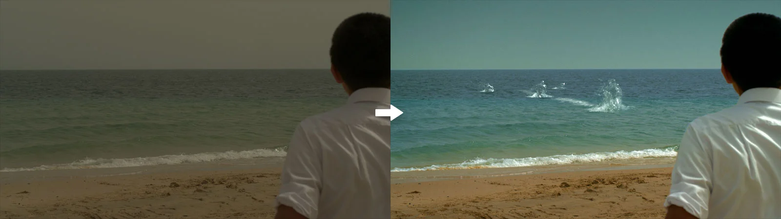 cg_01.jpg