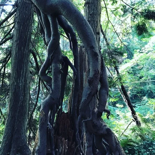 photo by Marissa Korbel