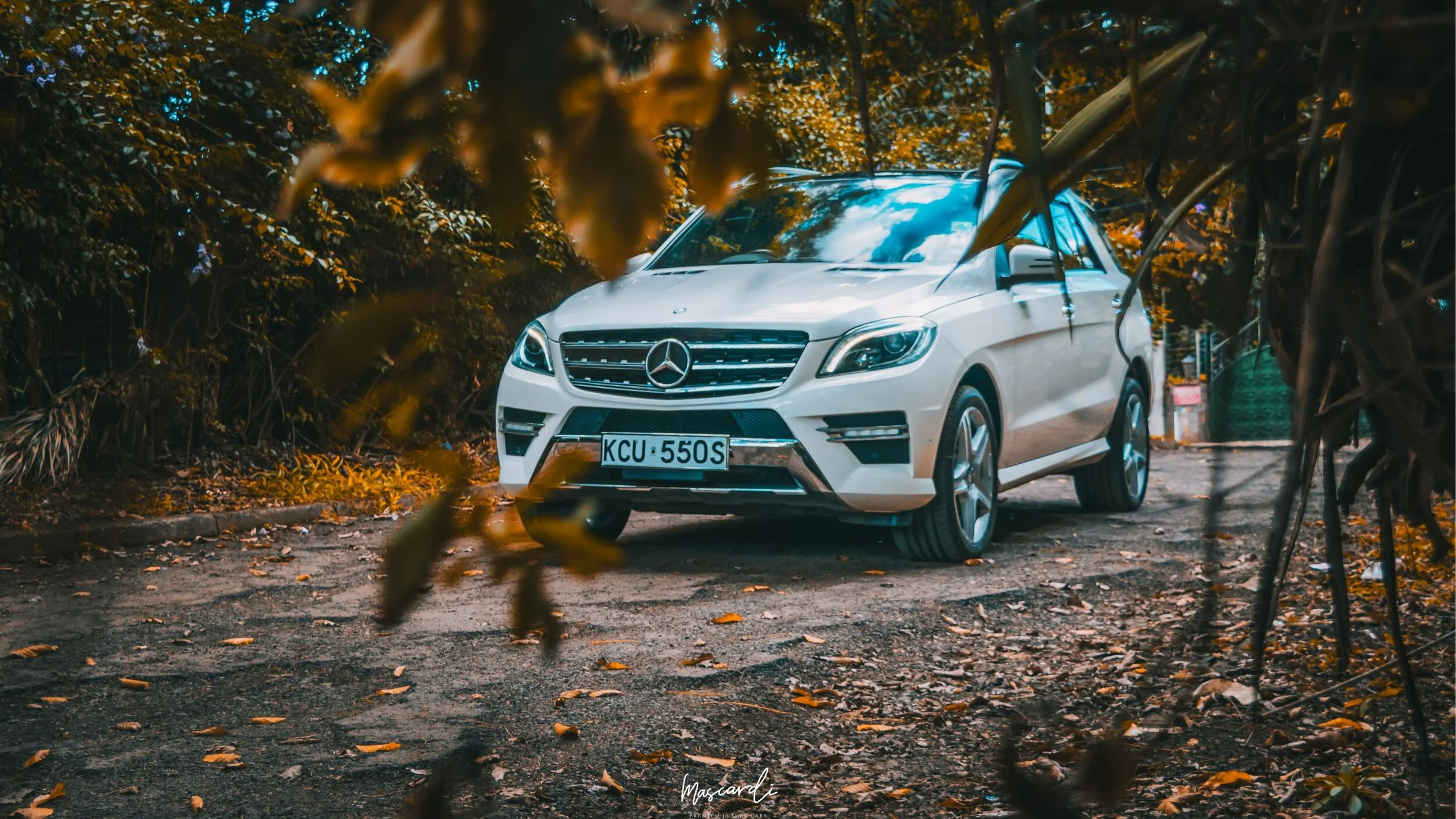 MASCARDI Luxury Car Dealers in Kenya Nairobi