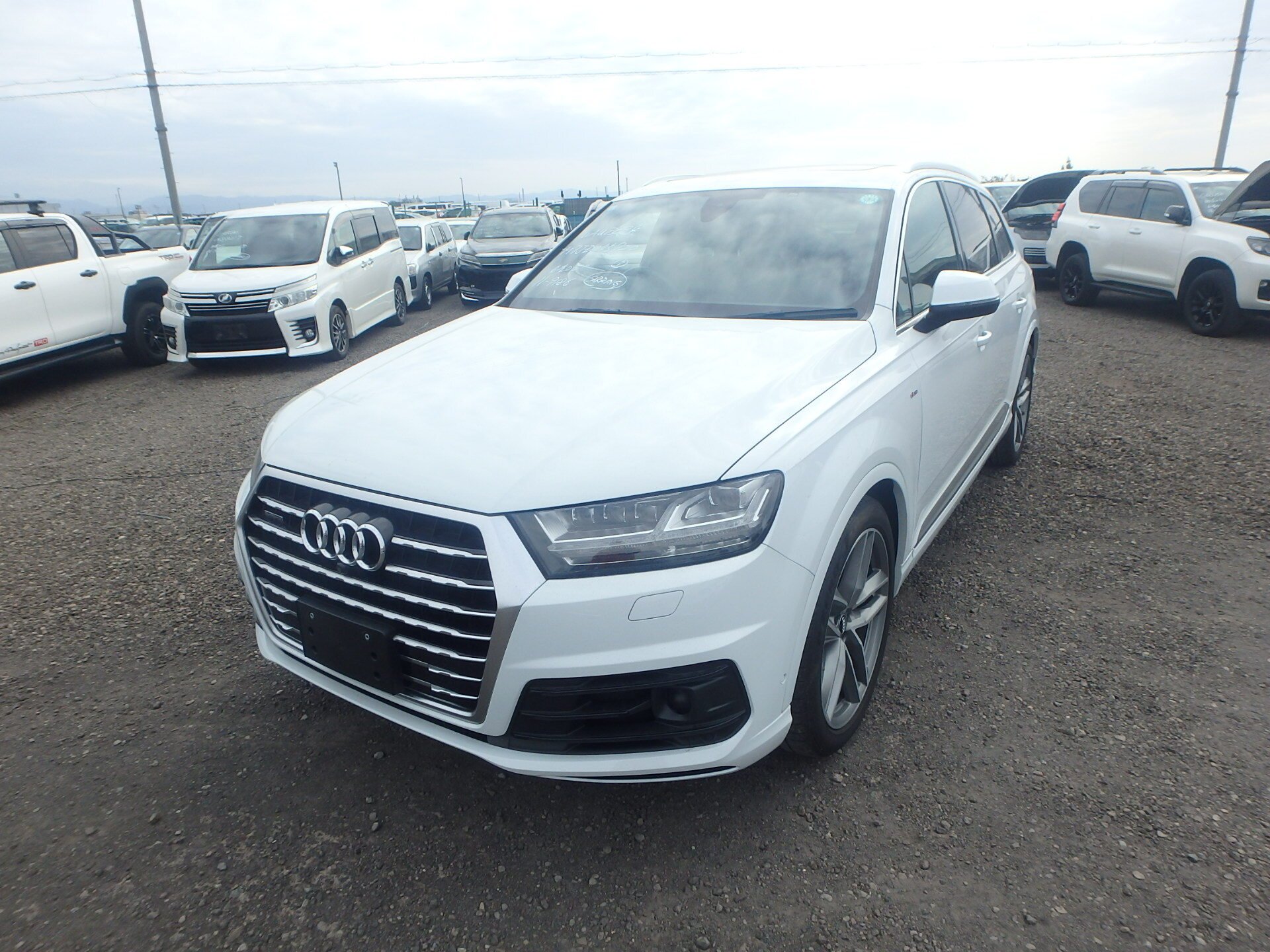 2019 Audi Q7