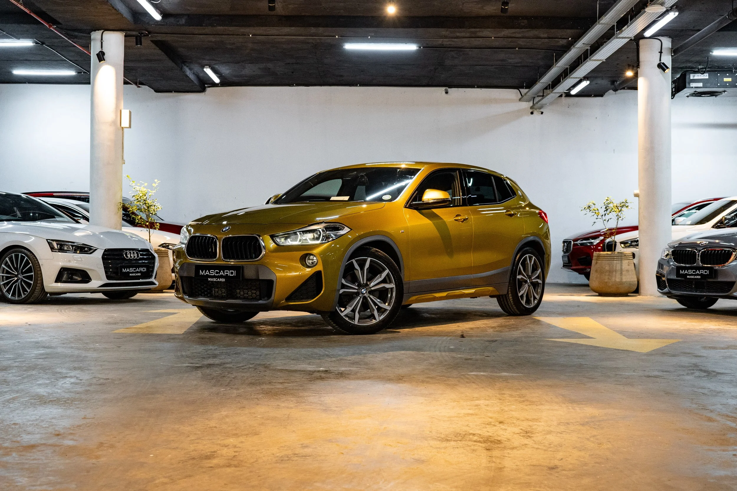 Gold BMW X2 (M-Sport Package)
