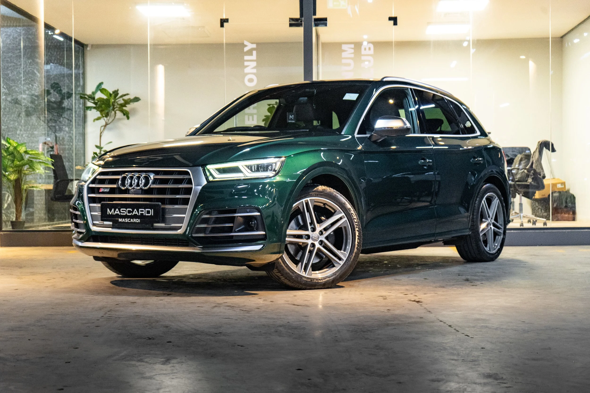 Audi SQ5