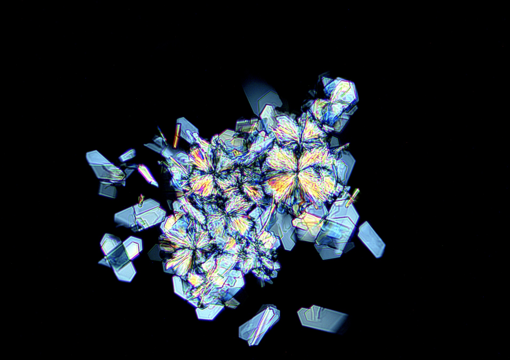 nicotinamide-riboside-tru-niagen.png