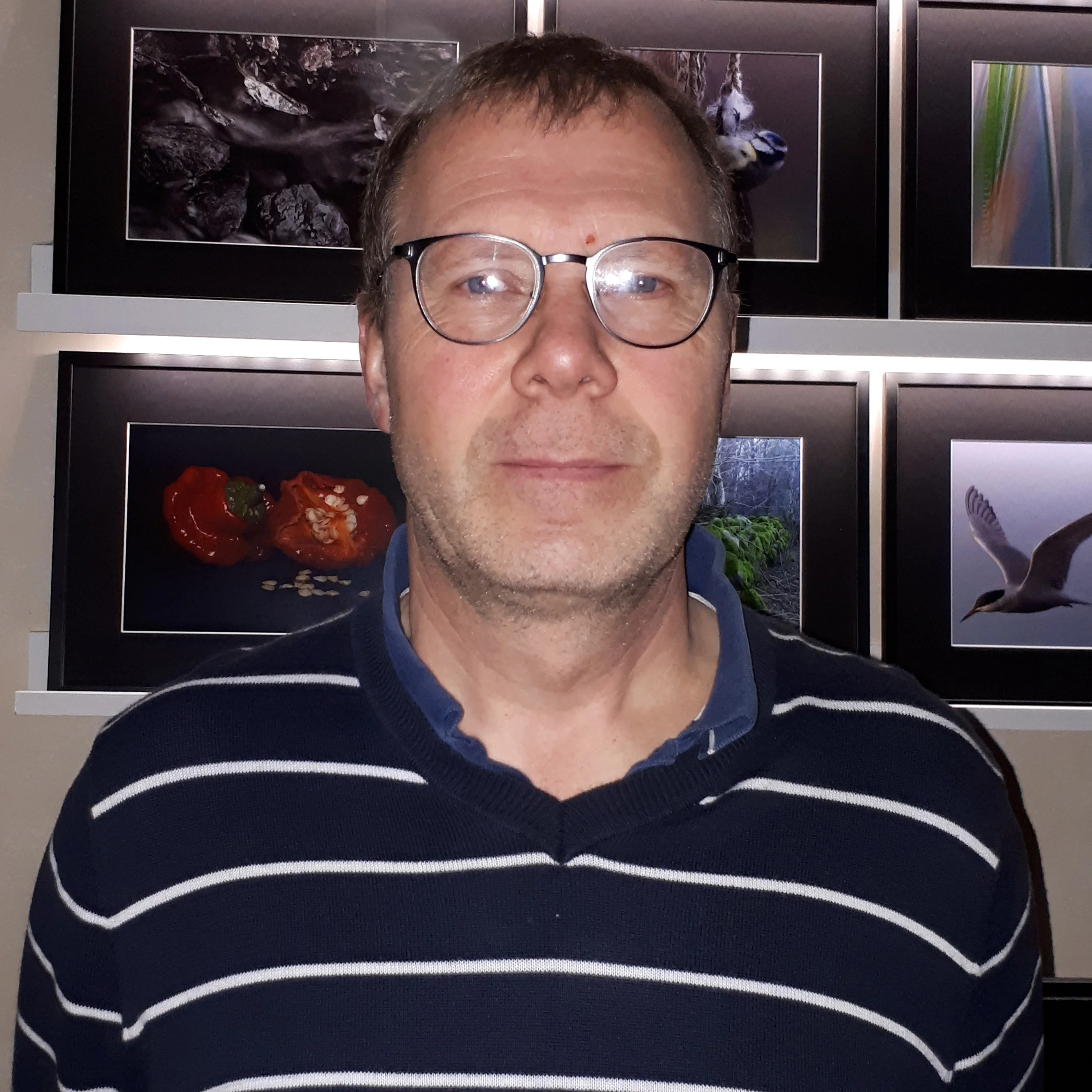 Ledamot Lars Åke Thornblad