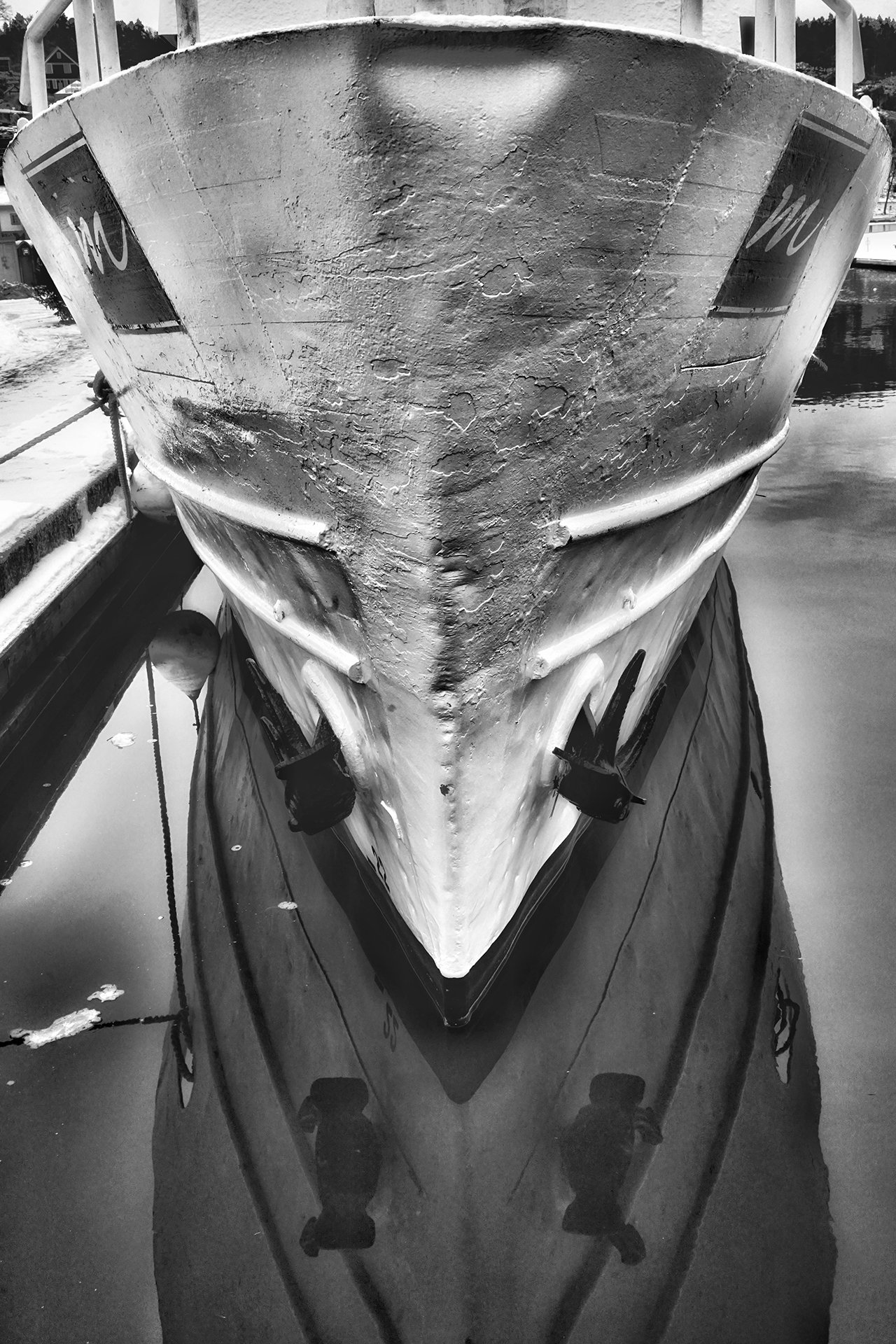 Månadensbild December Tema Symetri