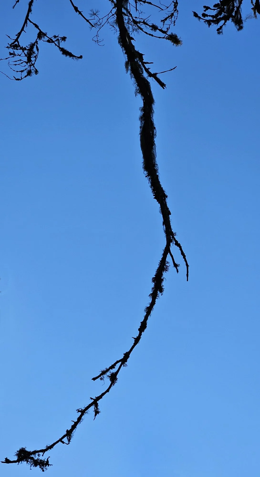 07.jpg