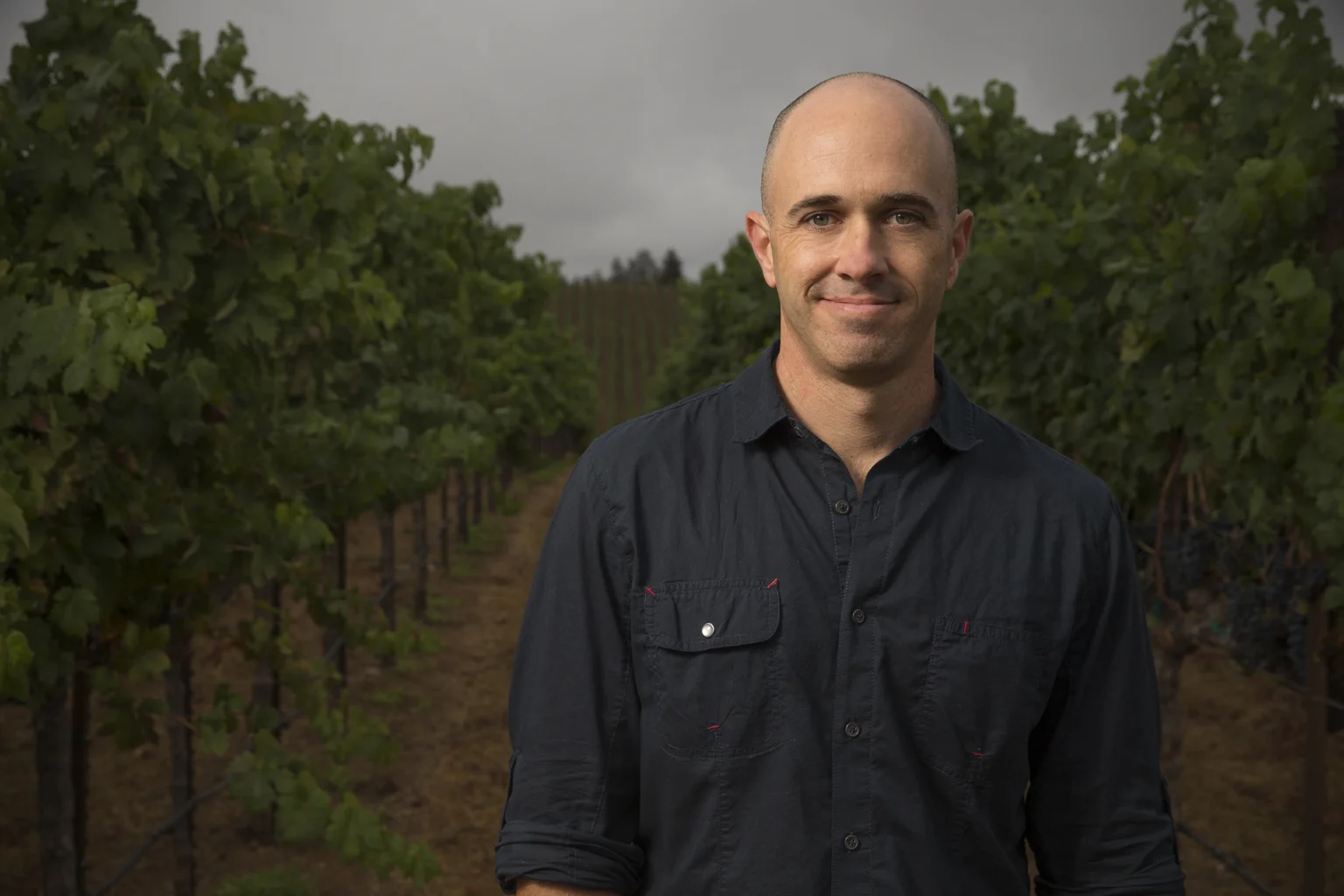 Michael Eddy, Director of Winemaking, Louis M. Martini