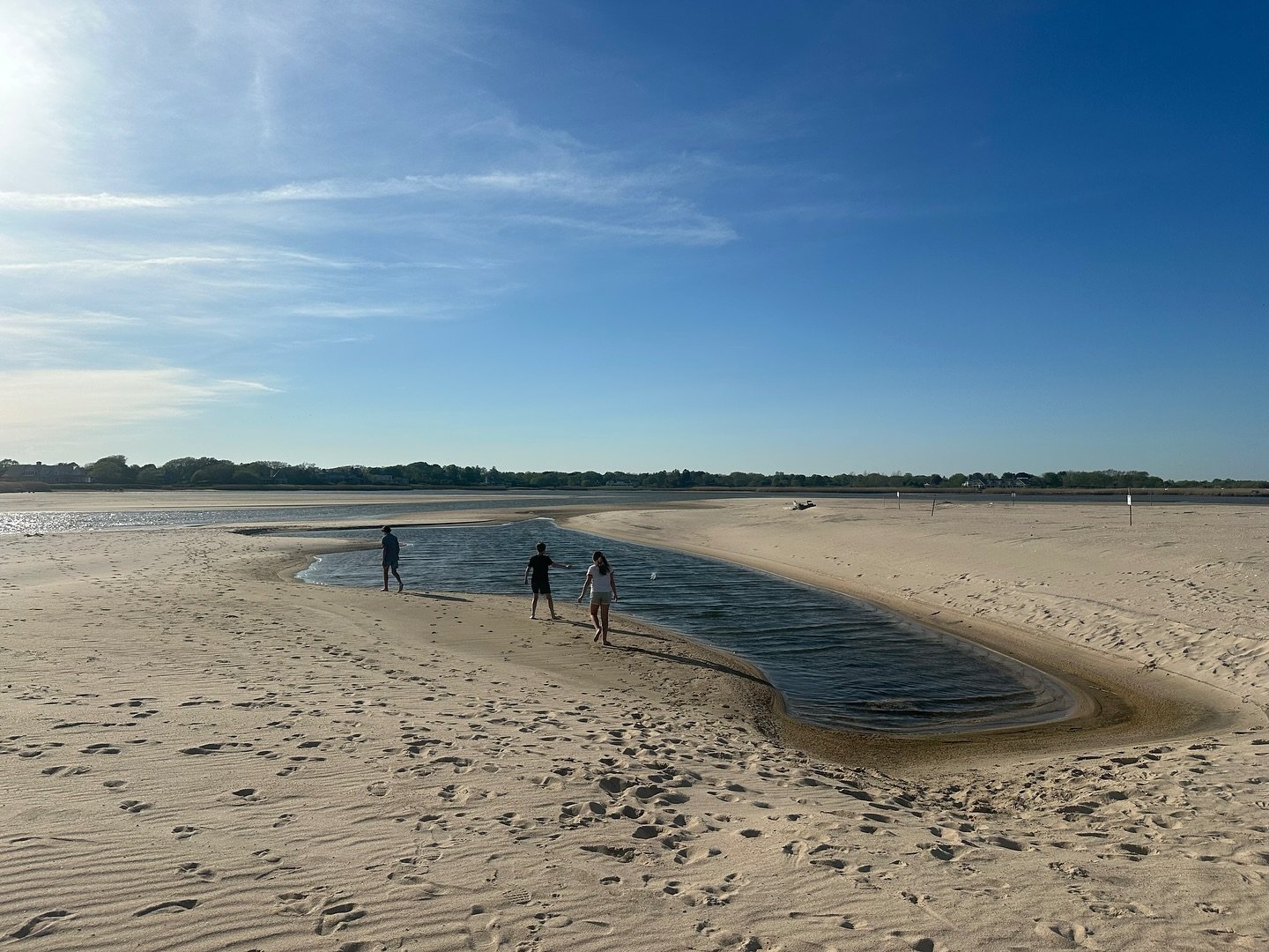 Beach Day. ⁠
⁠
⁠
⁠
⁠
⁠
⁠
⁠
⁠
⁠
#mendelsongroup #gideonmendelson #designerdad #whatdesigncando #treesofinstagram #architecturelover #interiorinspo #interiorinspiration #natureshot #natureshots #wanderings #outandabout