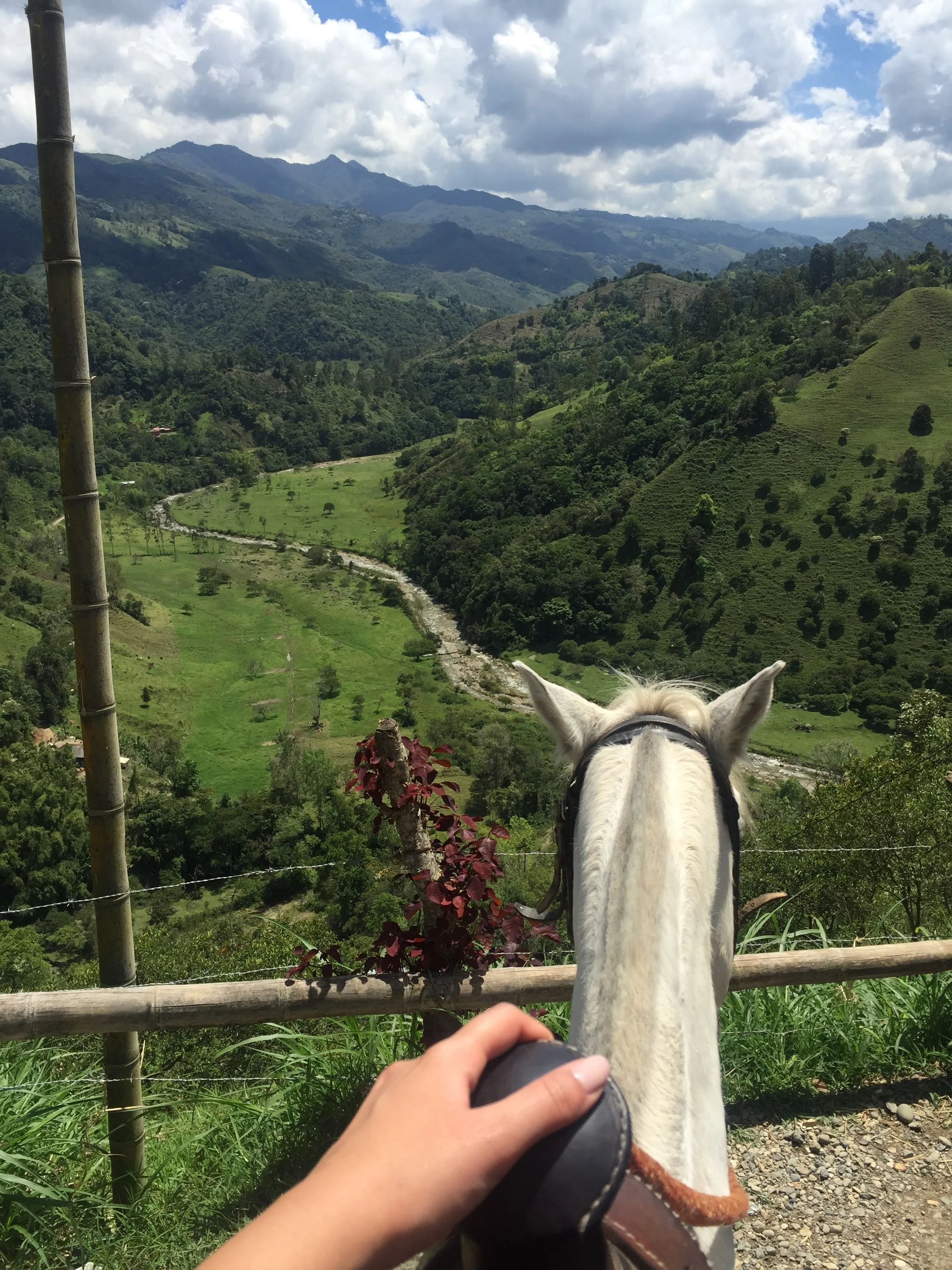 My First Visit to Colombia - Bogota, Salento and Cartagena 