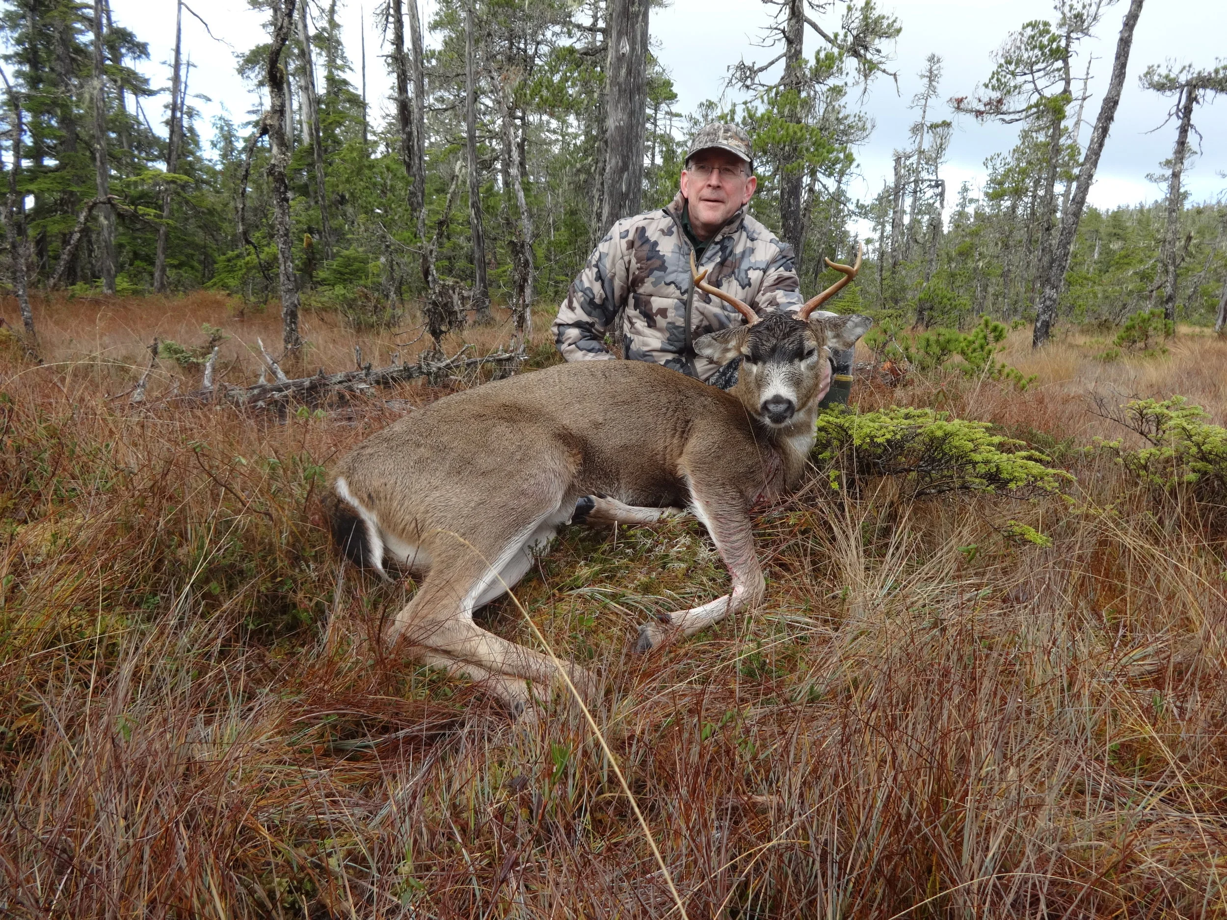 Nov 2014 deer 001.jpg