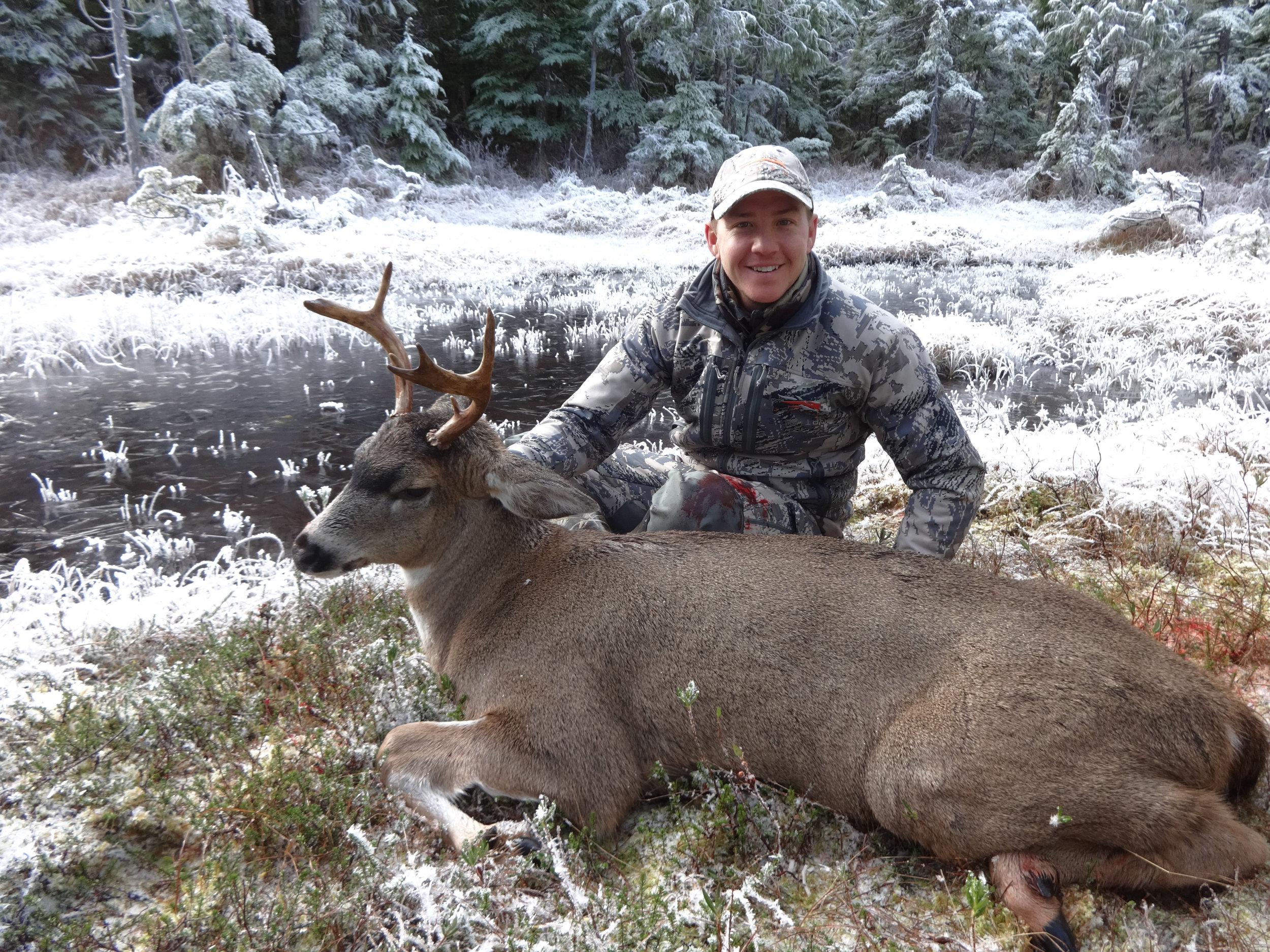 Nov 2014 deer 007.jpg