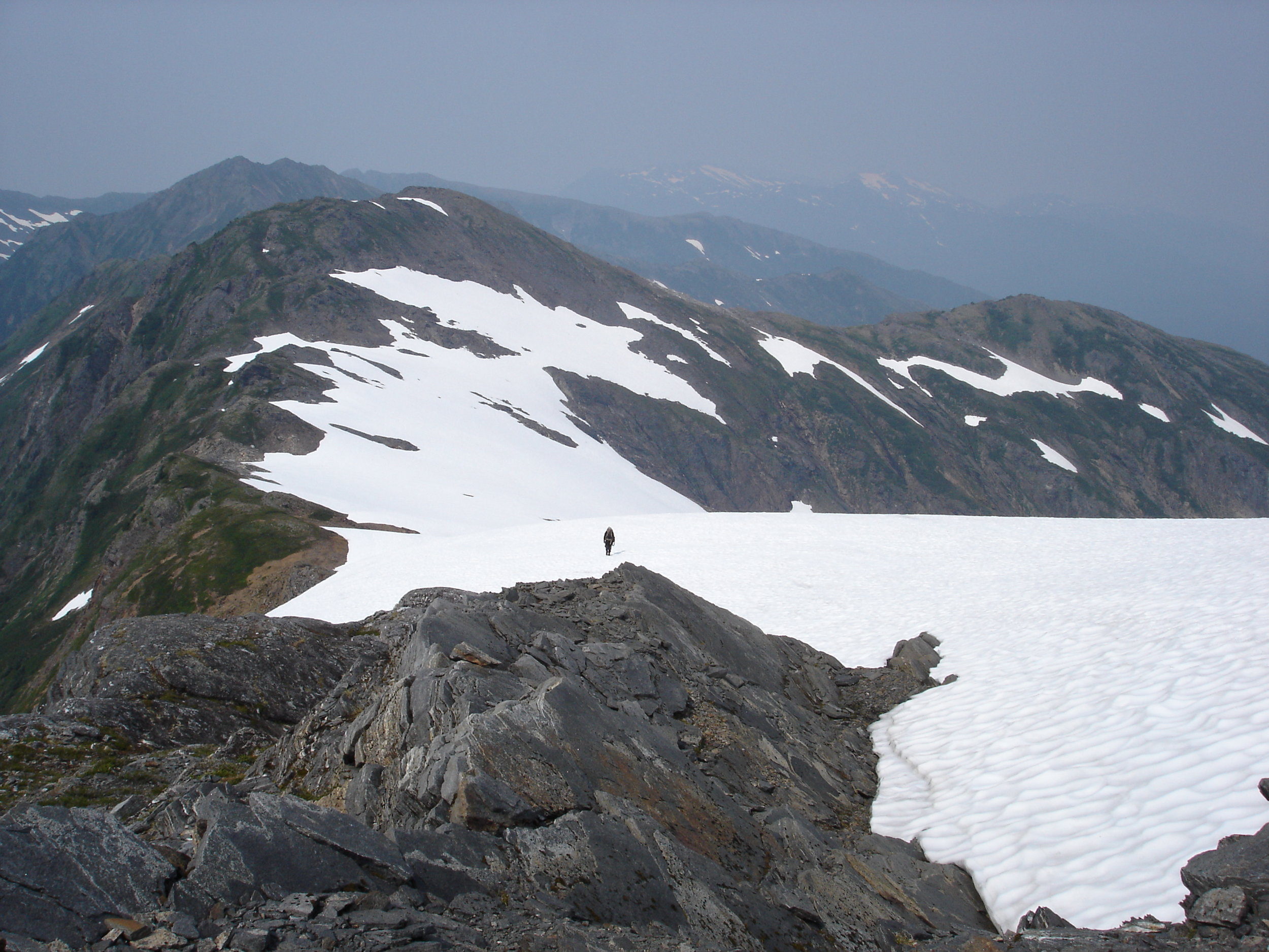 Bob Olson Goat 09 013.jpg