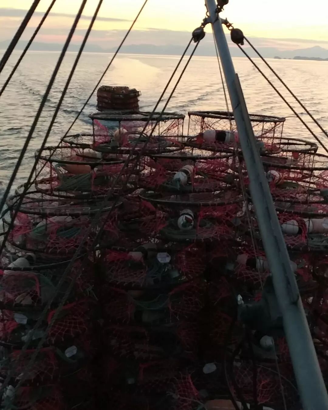 Nice night for a boat ride. I can't wait to get these in the water tomorrow morning. #dungifishing #commercialfishing #dungenesscrab #commercialfisherman #sealaska