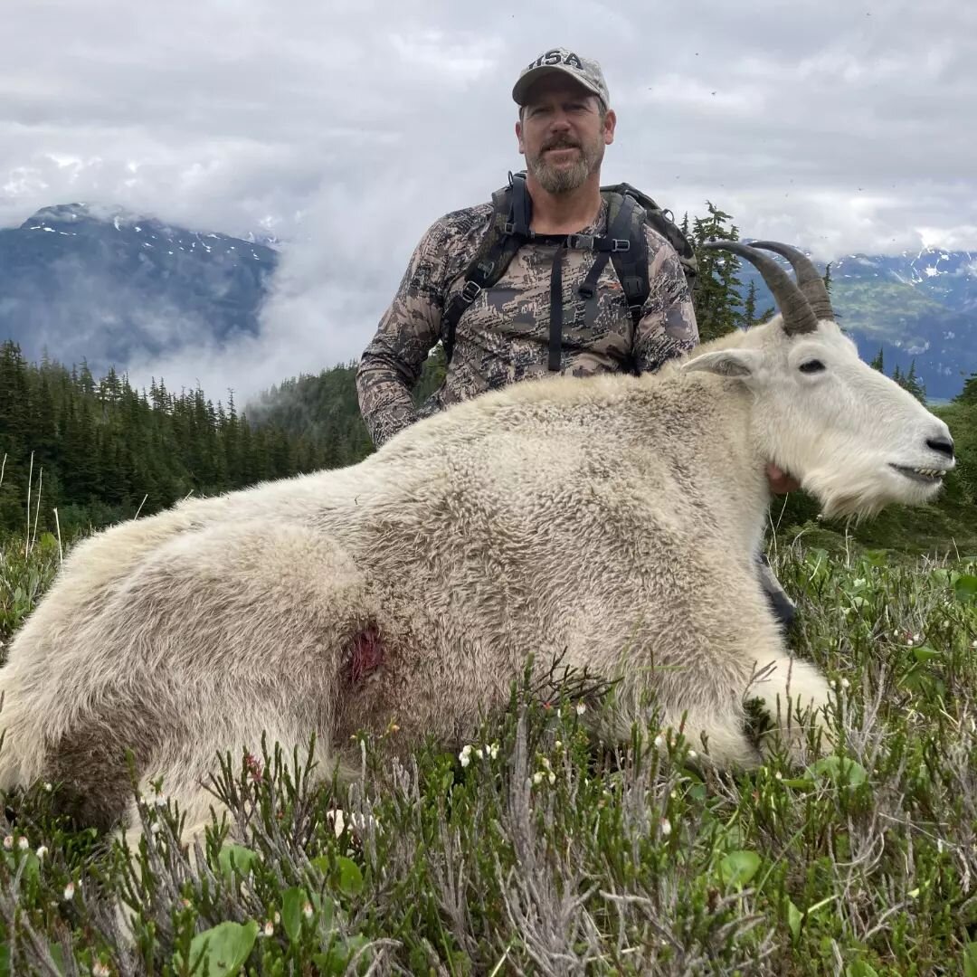@troyrolbiecki was lucky enough to harvest this big billy on the first day of the season. After a gruelling five and a half hour hike up into the alpine we located four billies and decided to take this one. #mountaingoats #goathunting #stikineriver #