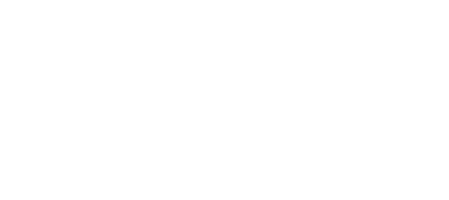 Healthcare Strategic Consultants