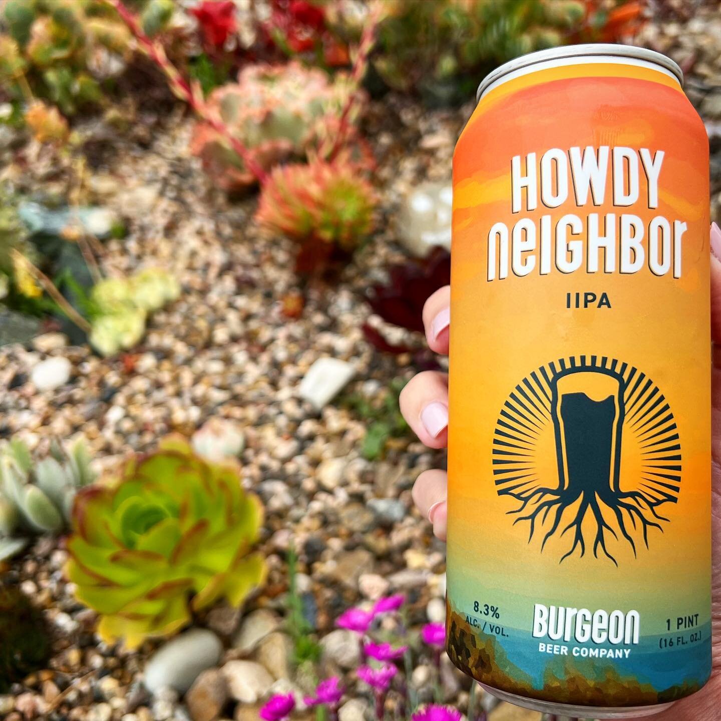 OH HELLO, HI, H O W D Y 👋 

My last can of @burgeonbeer Howdy Neighbor! I held on to these babies as long as possible. 

If you haven&rsquo;t stopped in at a Burgeon location yet, get there! This award-winning brewery is doing dope things. 

I hope 