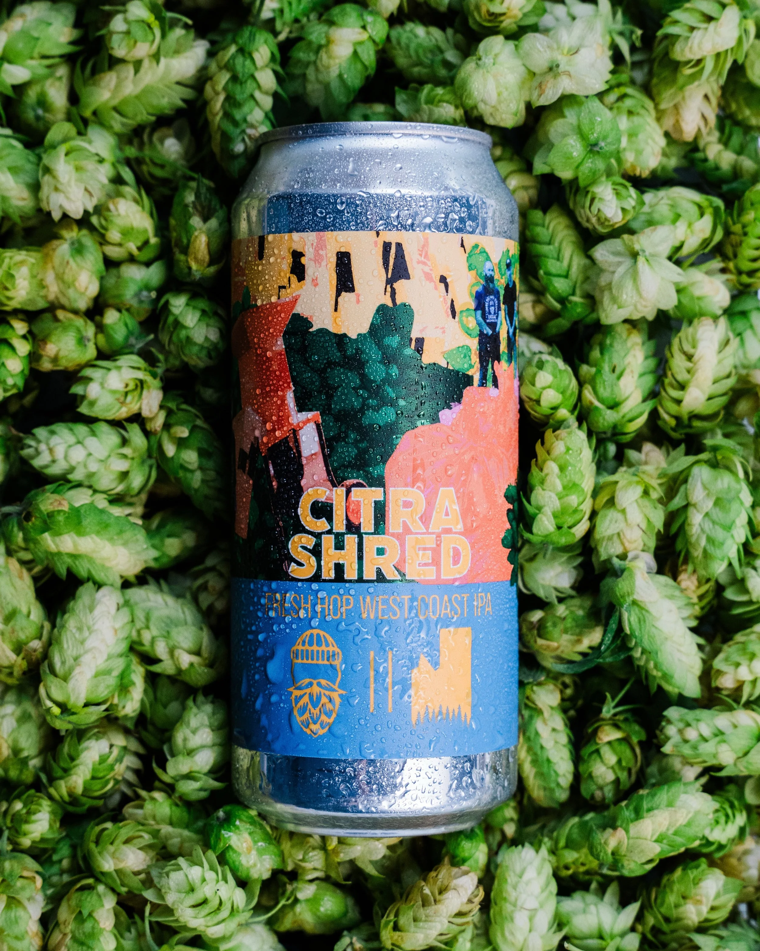 CITRA SHRED 🌿 7.5% ABV

We linked up with our good friends at @whistlepunkbeer for a fresh hop collab you don&rsquo;t want to miss. This West Coast IPA is brewed with whole cone Citra hops straight from @carpenter.ranches &mdash; fresh, vibrant, and