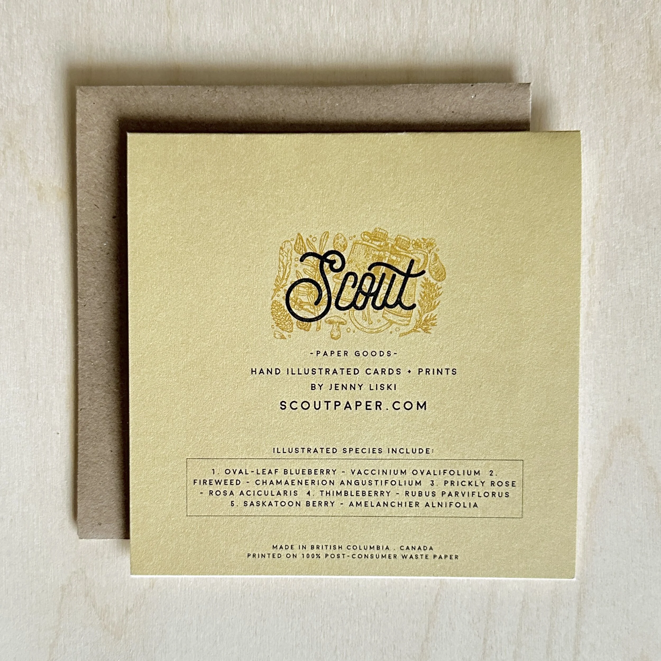 SUMMER FORAGE BACK.jpg