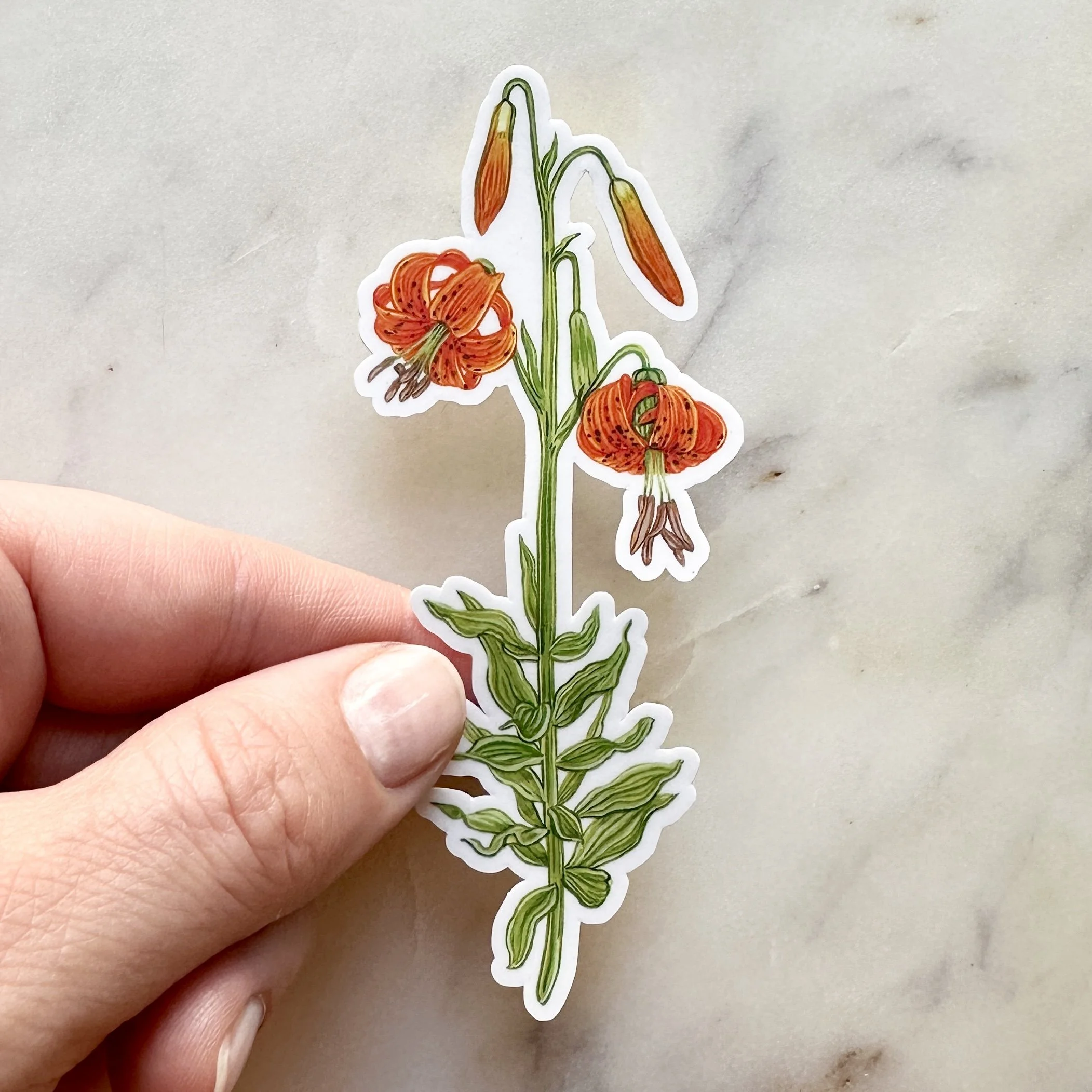 Columbia Tiger Lily