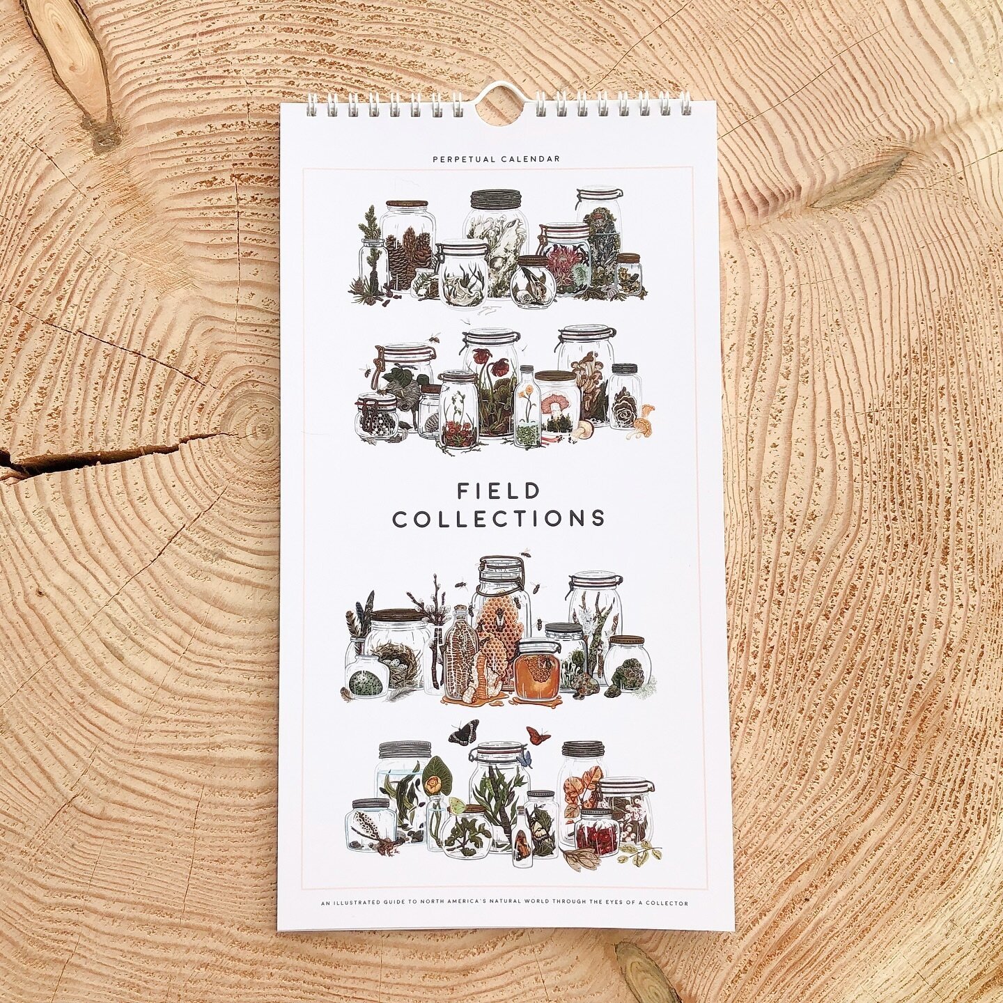 Perpetual calendars make a lovely gift for the holidays! These calendars don&rsquo;t expire. Use them to remember important dates like birthdays + anniversaries. You can continue to cycle through them and add to them as your family and friends grow.