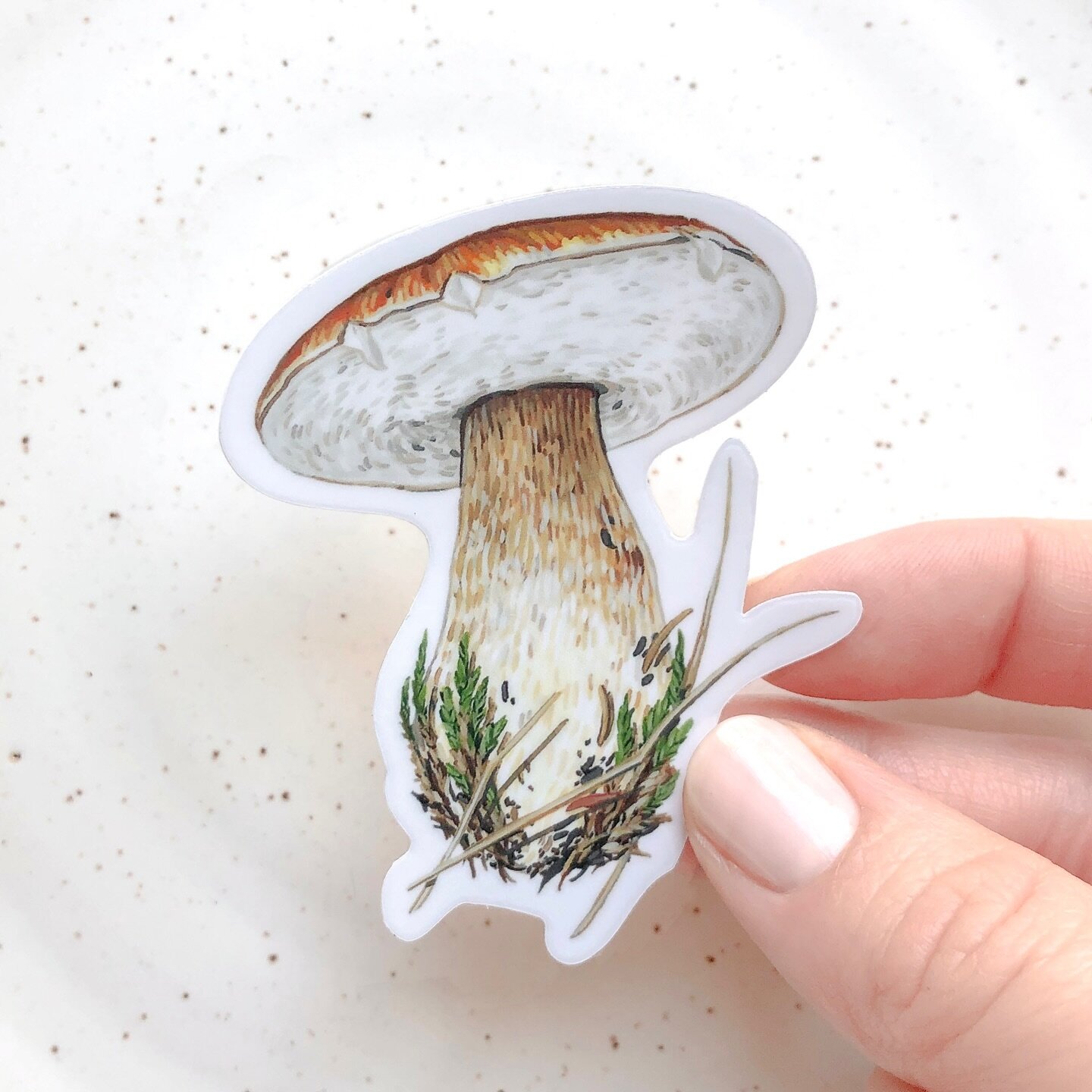 Last market of the year is today! @rusticreel 11-7

Only a handful of these King Bolete stickers left too, come say hello!