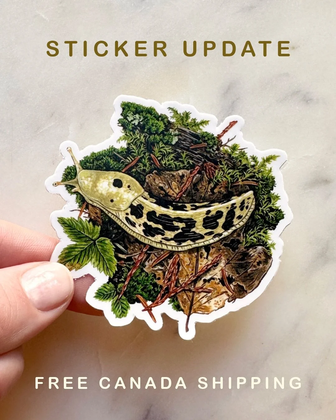 New and Re-stocked stickers are now in the shop! Sticker orders get free canada shipping for the month of July + August

Link to web shop in profile 🌞