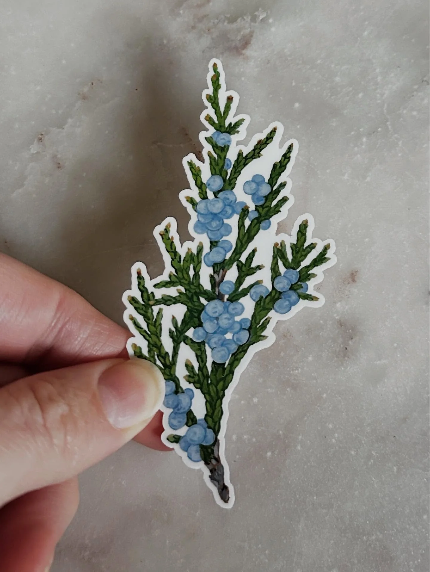 Rocky Mountain Juniper vinyl sticker
