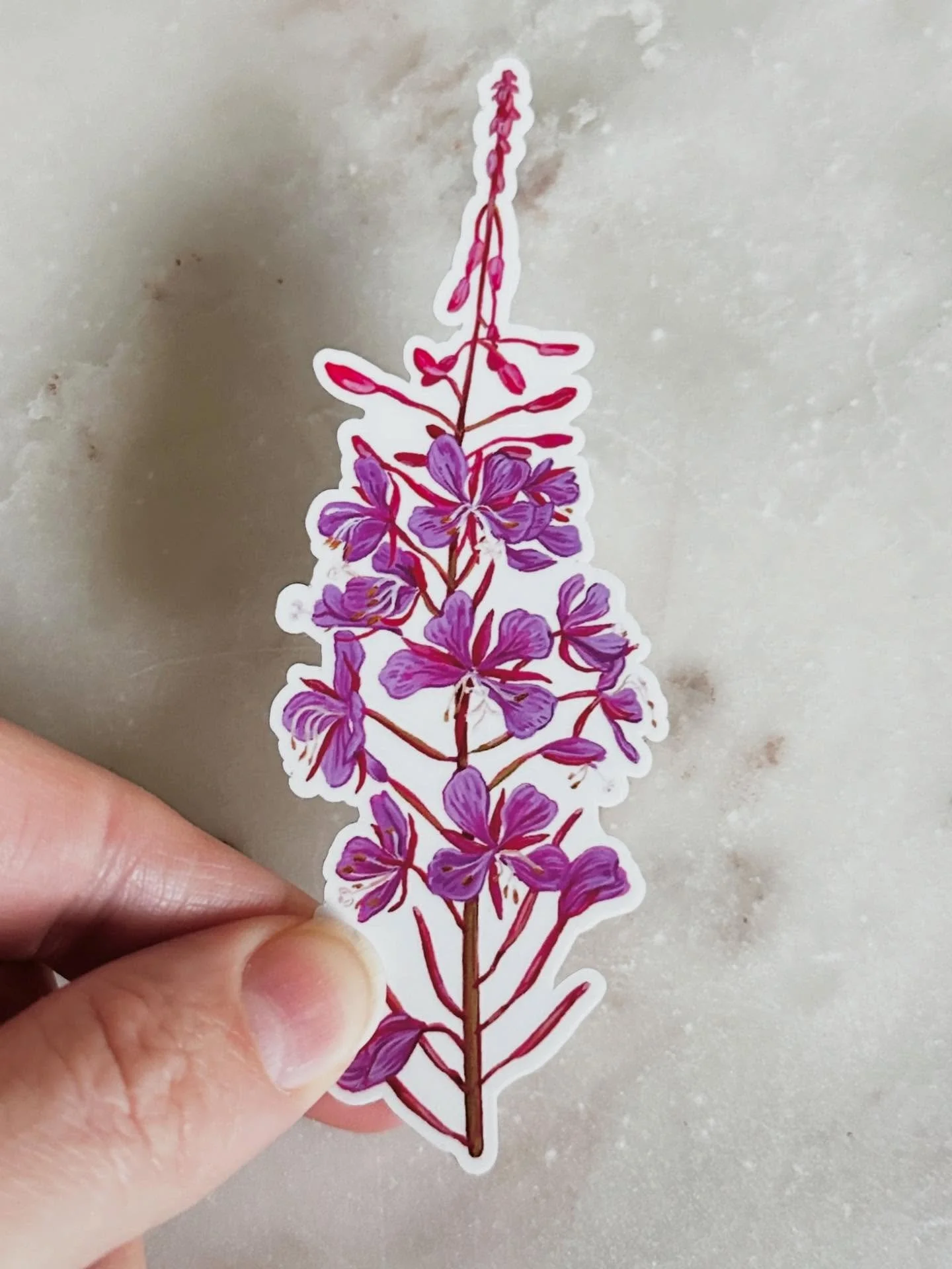 Fireweed vinyl sticker 🔥🌸
