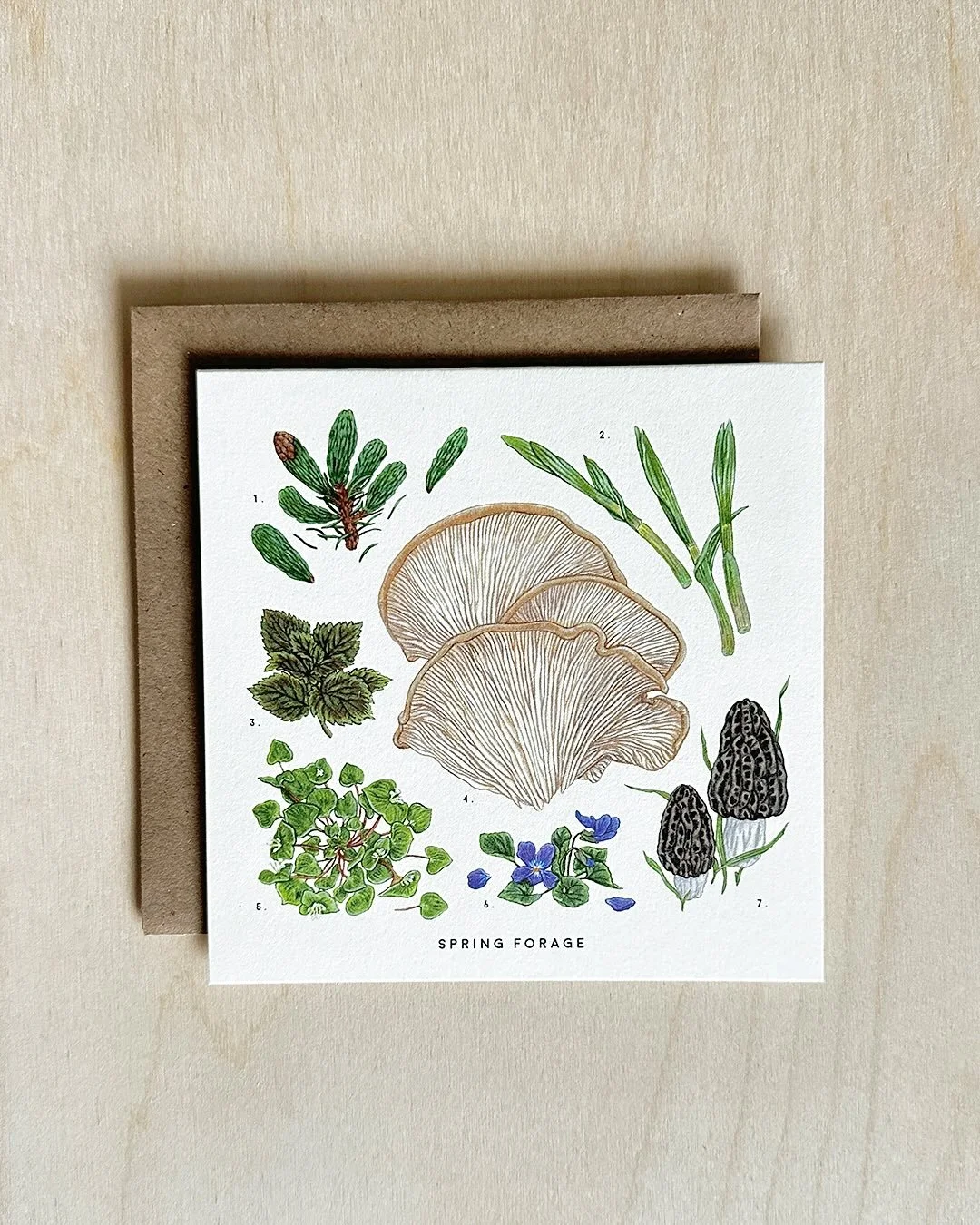 Spring Forage card from my Seasons of Foraging series. 🌱